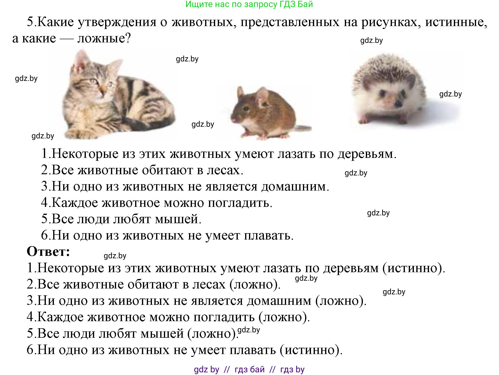 Информатика, 7 класс Учебник, авторы: Котов Владимир Михайлович, Лапо Анжелика Ивановна, Войтехович Елена Николаевна, издательство Народная асвета, Минск, 2017, страница 24, номер 5, Решение