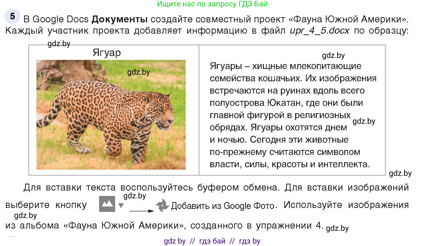 Информатика, 9 класс Учебник, авторы: Котов Владимир Михайлович, Лапо Анжелика Ивановна, Быкадоров Юрий Александрович, Войтехович Елена Николаевна, издательство Народная асвета, Минск, 2019, голубого цвета, страница 23, номер 5, Условие