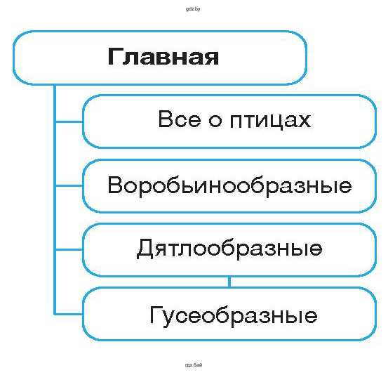 Схема. Структура сайта
