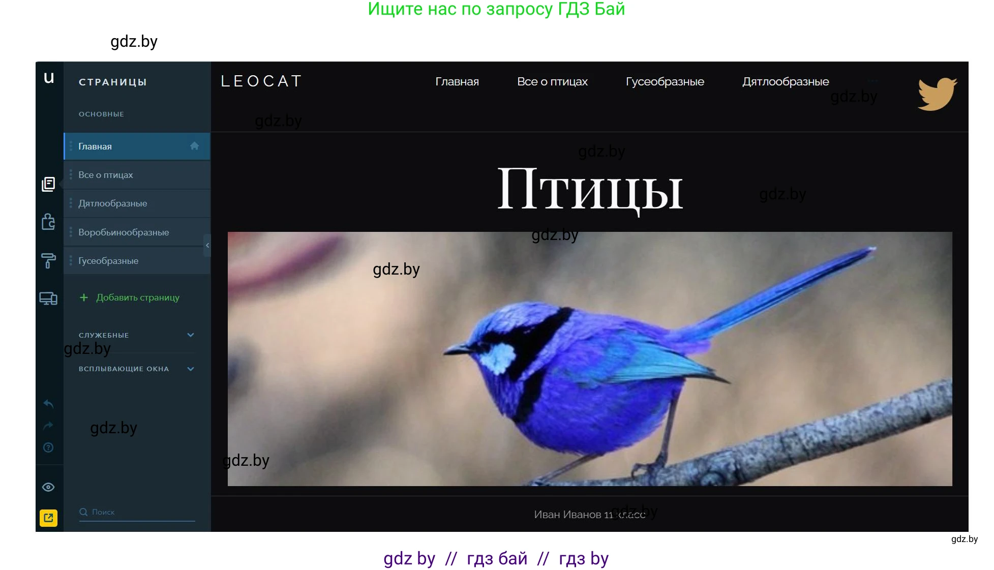 Информатика, 11 класс Учебник, авторы: Котов Владимир Михайлович, Лапо Анжелика Ивановна, Быкадоров Юрий Александрович, Войтехович Елена Николаевна, издательство Народная асвета, Минск, 2021, бирюзового цвета, страница 75, номер 7, Решение (продолжение 2)