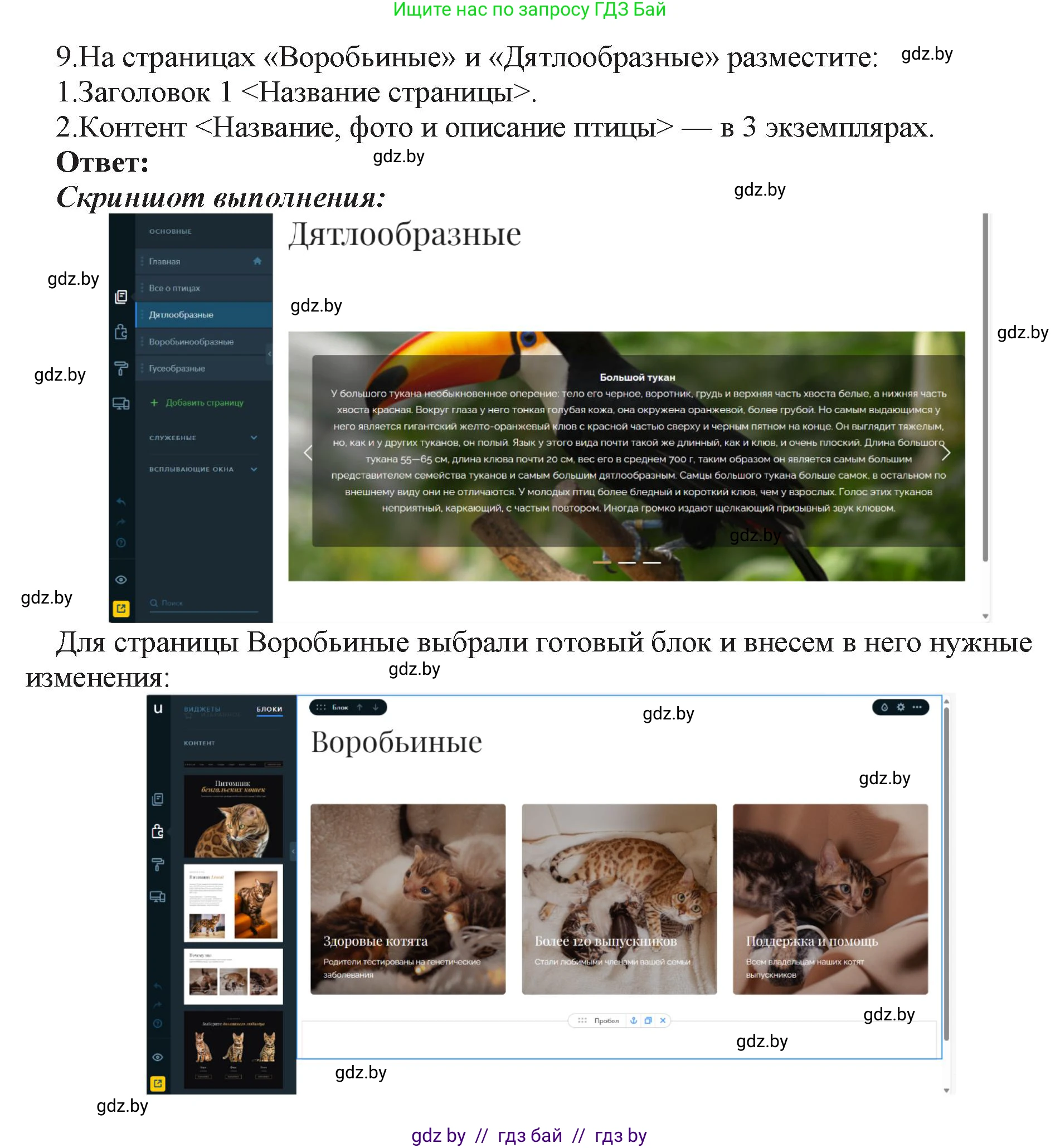 Информатика, 11 класс Учебник, авторы: Котов Владимир Михайлович, Лапо Анжелика Ивановна, Быкадоров Юрий Александрович, Войтехович Елена Николаевна, издательство Народная асвета, Минск, 2021, бирюзового цвета, страница 75, номер 9, Решение