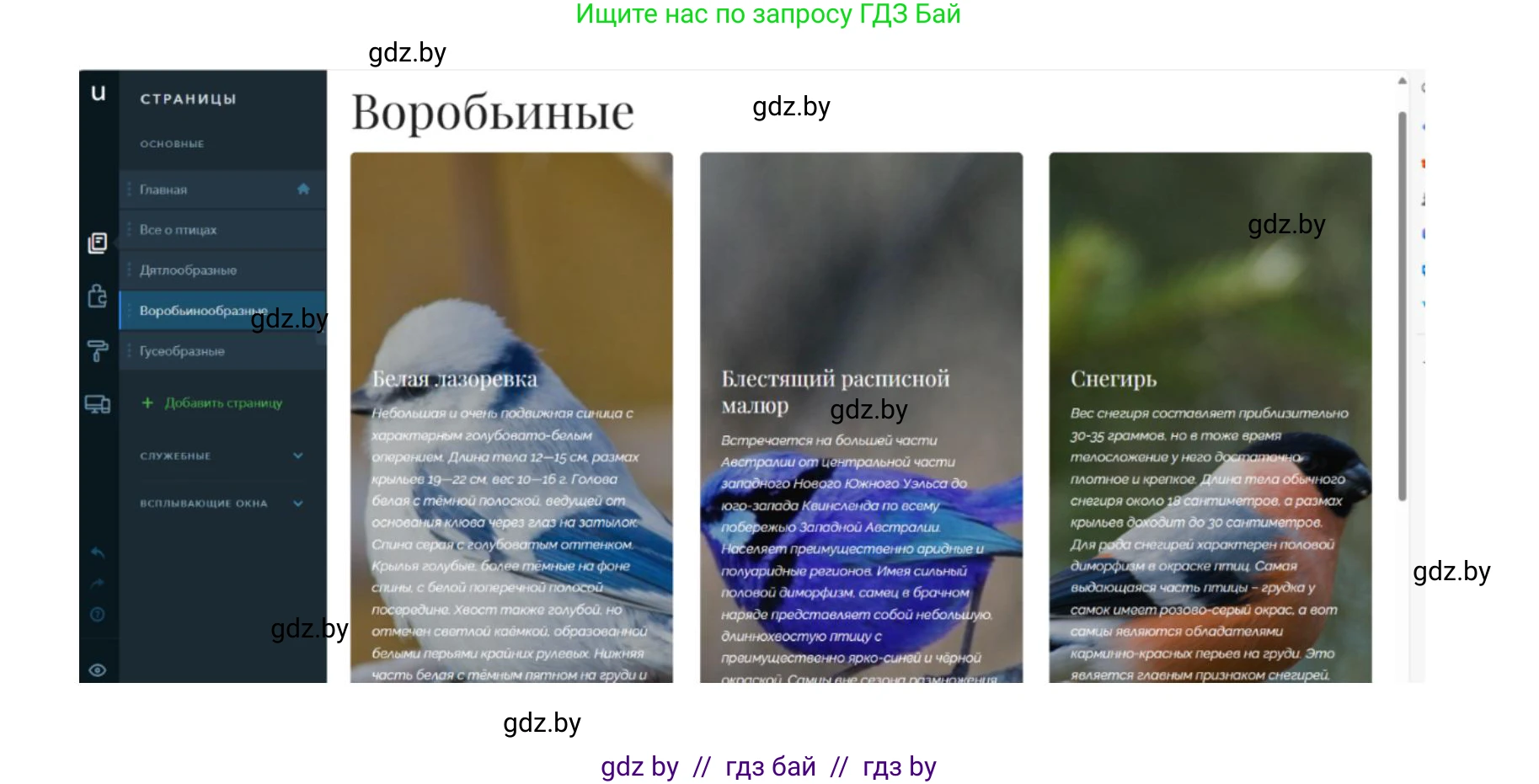 Информатика, 11 класс Учебник, авторы: Котов Владимир Михайлович, Лапо Анжелика Ивановна, Быкадоров Юрий Александрович, Войтехович Елена Николаевна, издательство Народная асвета, Минск, 2021, бирюзового цвета, страница 75, номер 9, Решение (продолжение 2)