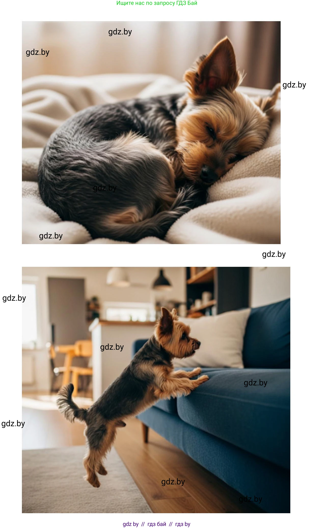 Искусство, 5 класс Учебник, авторы: Колбышева Светлана Ивановна, Захарина Юлия Юрьевна, Грачёва Ольга Олеговна, Гракова В В, Волк М А, издательство Адукацыя i выхаванне, Минск, 2022, страница 108, Решение (продолжение 2)