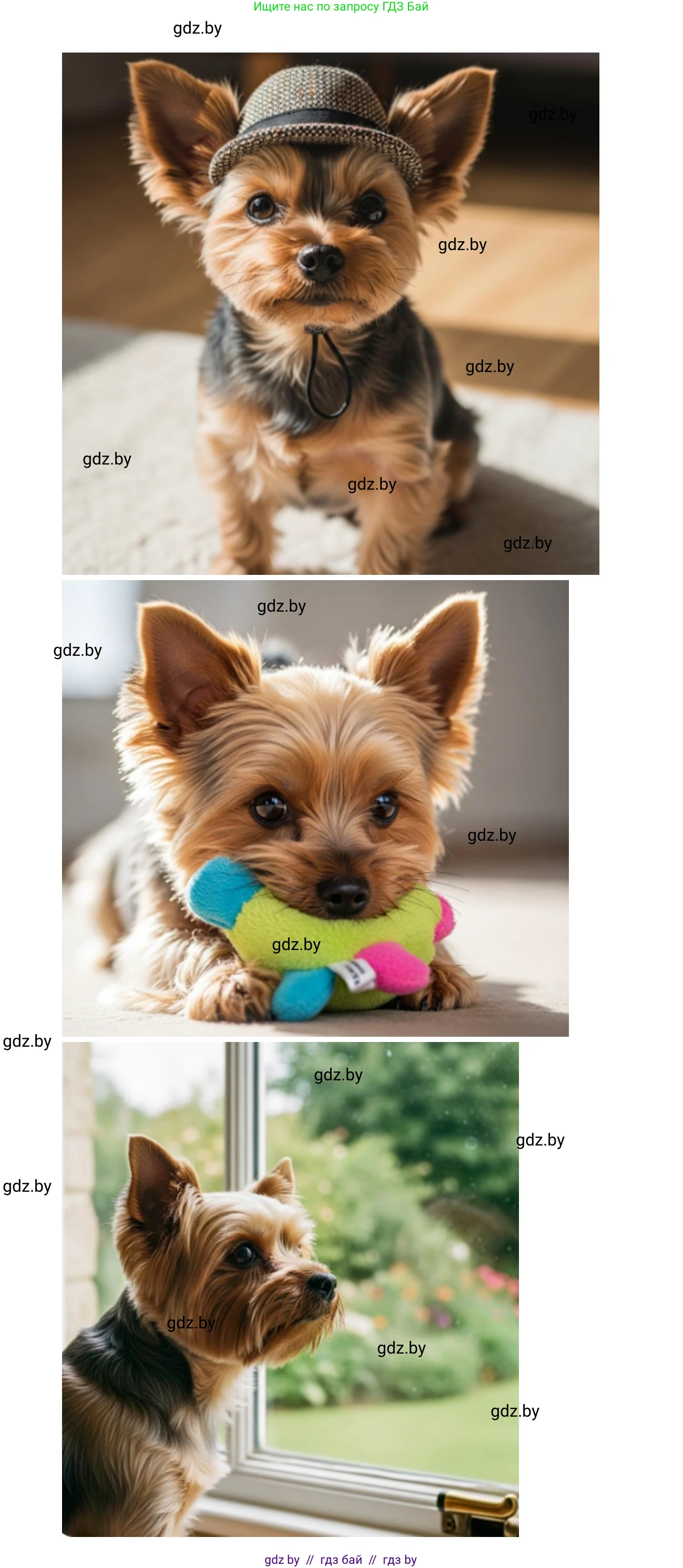 Искусство, 5 класс Учебник, авторы: Колбышева Светлана Ивановна, Захарина Юлия Юрьевна, Грачёва Ольга Олеговна, Гракова В В, Волк М А, издательство Адукацыя i выхаванне, Минск, 2022, страница 108, Решение (продолжение 3)