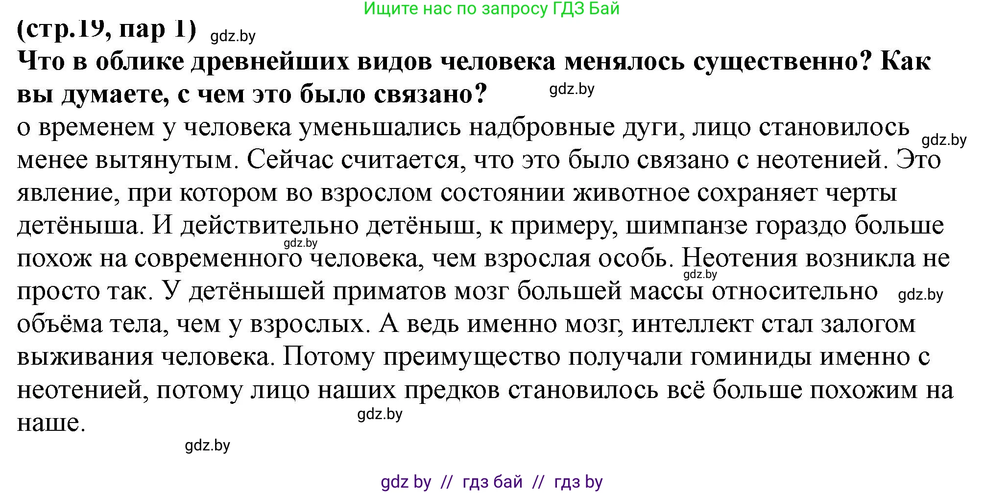 История Беларуси (Гісторыя Беларусі), 10 класс Учебник, авторы: Кохановский Александр Генадьевич, Кошелев Владимир Сергеевич, Темушев Степан Николаевич, Черепко С А, Белозорович В А, Матюшевская М И, Риер Я Г, Ходин С Н, издательство Издательский центр БГУ, Минск, 2024, бежевого цвета, Часть 1, страница 19, Решение