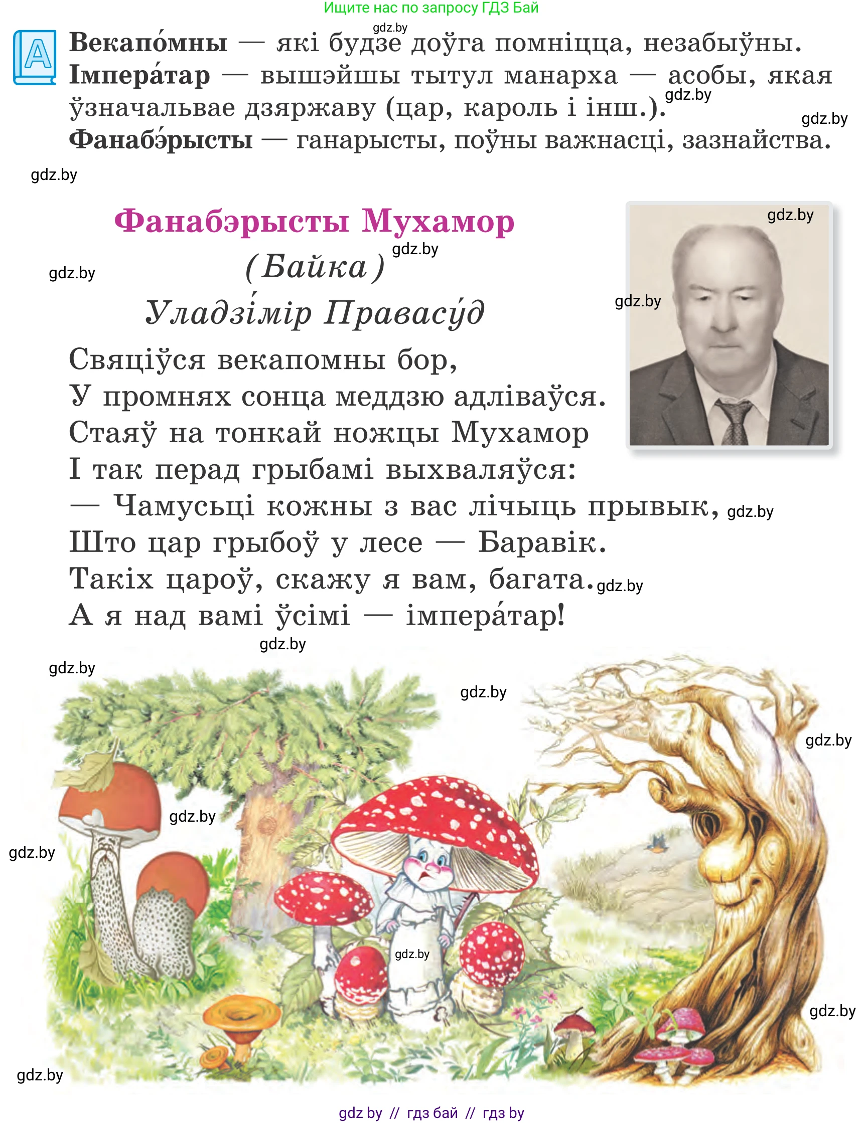 Літаратурнае чытанне, 4 класс Учебник, авторы: Жуковіч Мікалай Васільевіч, Праскаловіч Вольга Уладзіміраўна, издательство Нацыянальны інстытут адукацыі, Минск, 2024, зелёного цвета, Часть 2, страница 25, номер 25, Условие