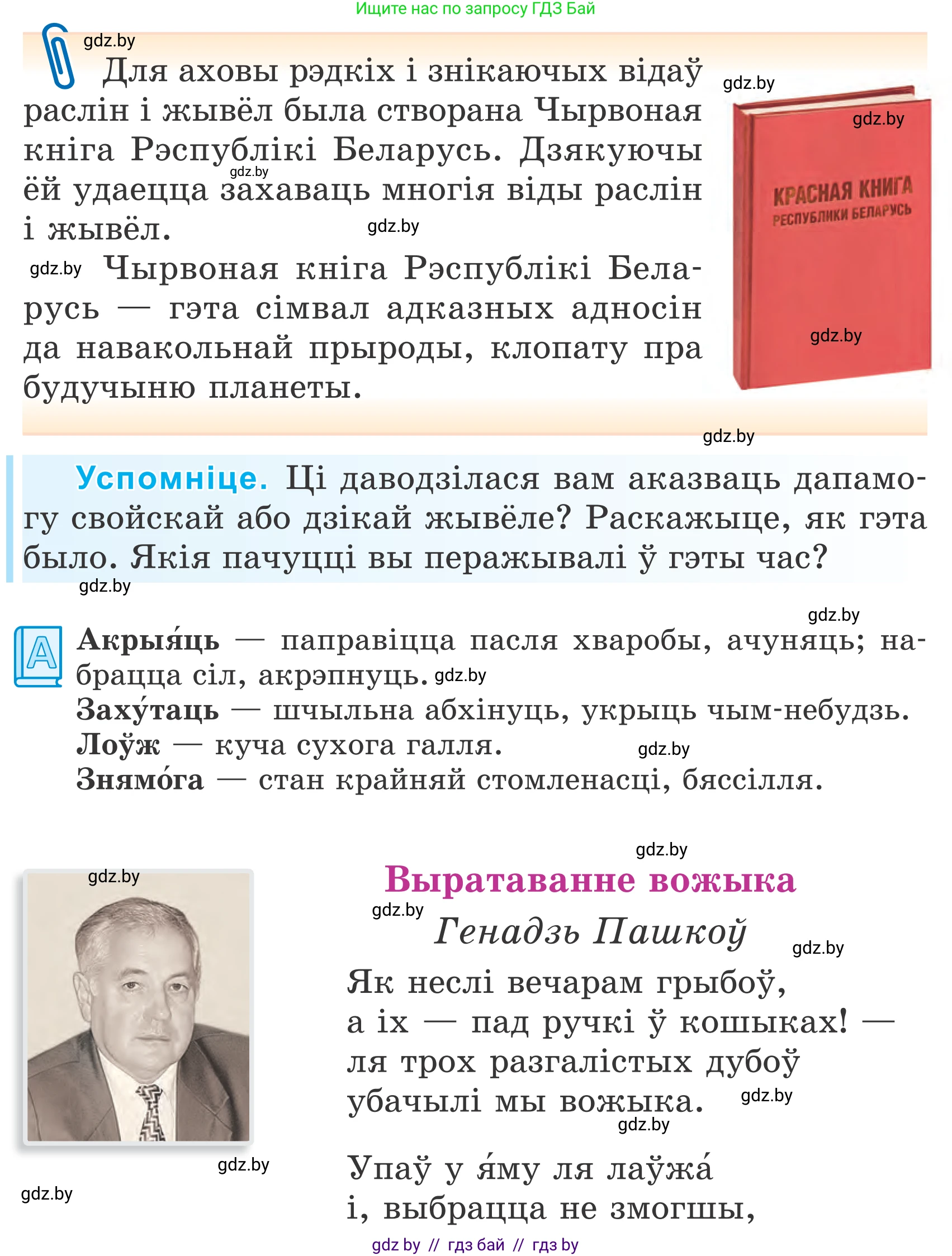 Літаратурнае чытанне, 4 класс Учебник, авторы: Жуковіч Мікалай Васільевіч, Праскаловіч Вольга Уладзіміраўна, издательство Нацыянальны інстытут адукацыі, Минск, 2024, зелёного цвета, Часть 2, страница 62, номер 62, Условие