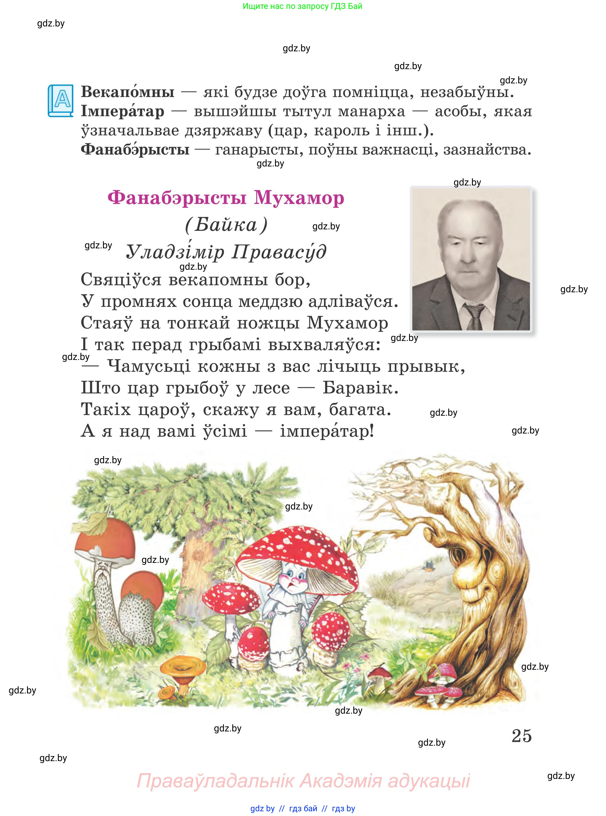 Літаратурнае чытанне, 4 класс Учебник, авторы: Жуковіч Мікалай Васільевіч, Праскаловіч Вольга Уладзіміраўна, издательство Нацыянальны інстытут адукацыі, Минск, 2024, зелёного цвета, Часть 1, страница 25