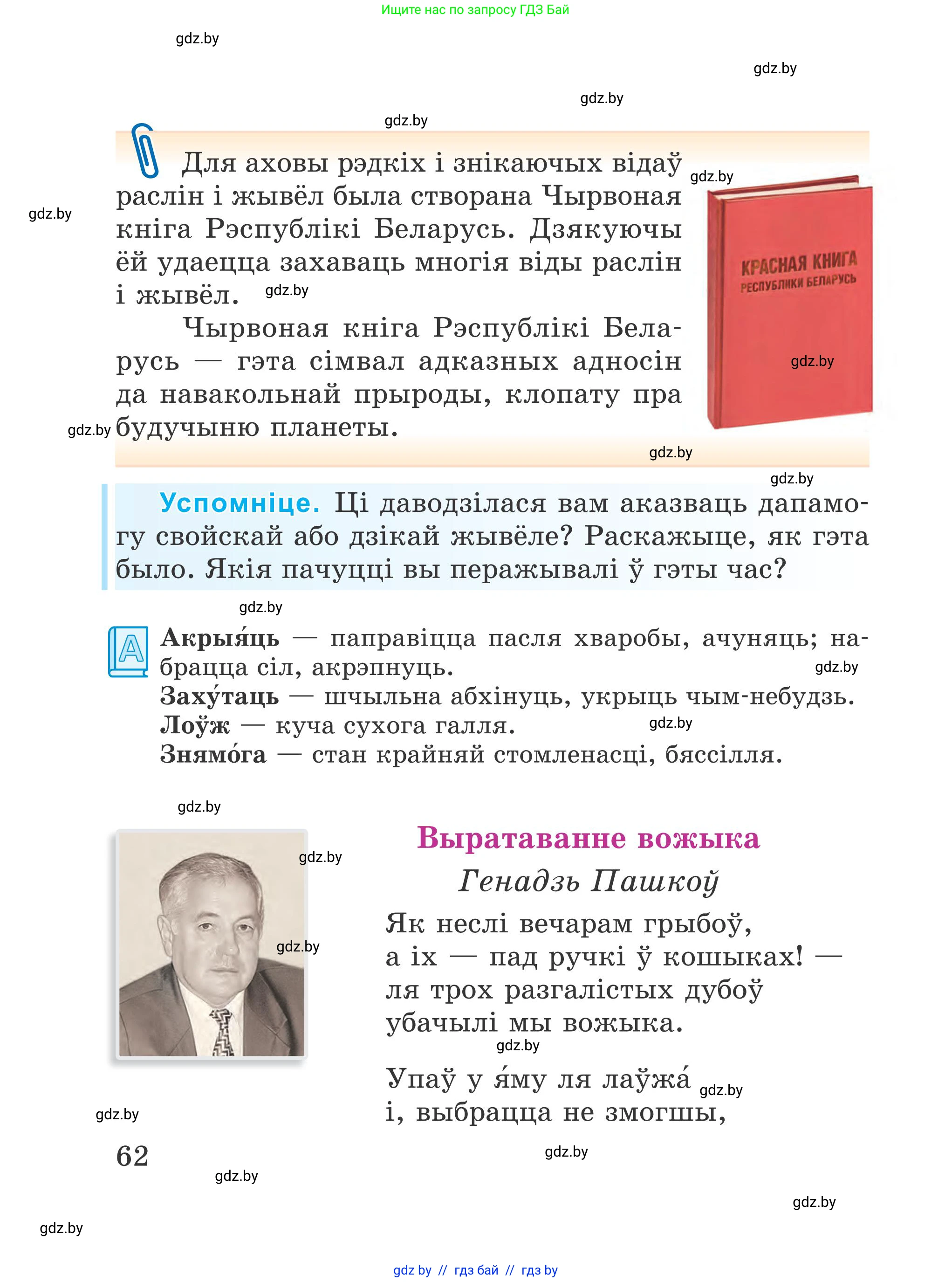 Літаратурнае чытанне, 4 класс Учебник, авторы: Жуковіч Мікалай Васільевіч, Праскаловіч Вольга Уладзіміраўна, издательство Нацыянальны інстытут адукацыі, Минск, 2024, зелёного цвета, Часть 1, страница 62