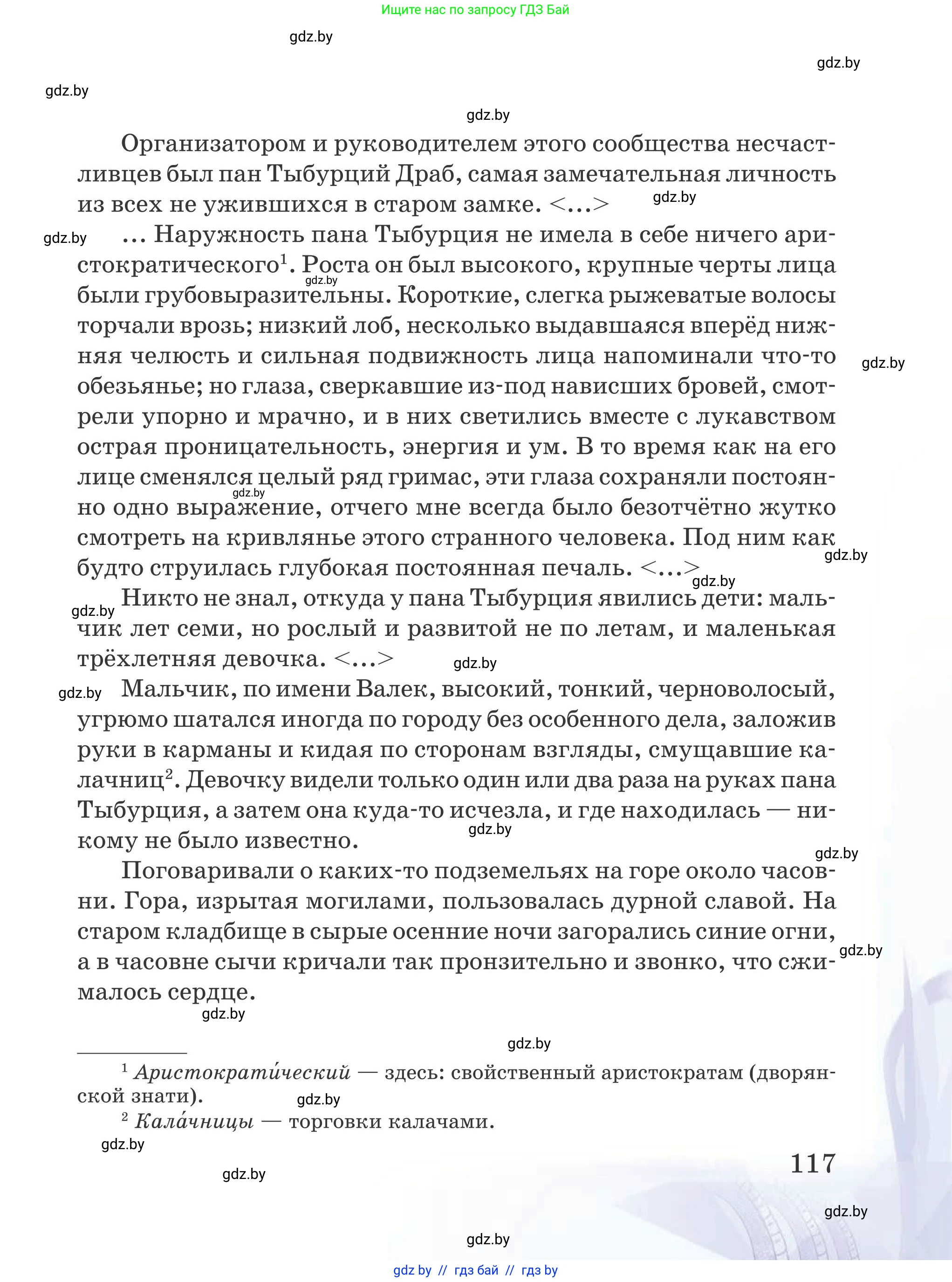 Русская литература, 5 класс Учебник, авторы: Мушинская Тамара Фёдоровна, Перевозная Евгения Васильевна, Каратай Светлана Николаевна, Гаранина Алла Ивановна, издательство Национальный институт образования, Минск, 2019, розового цвета, страница 117