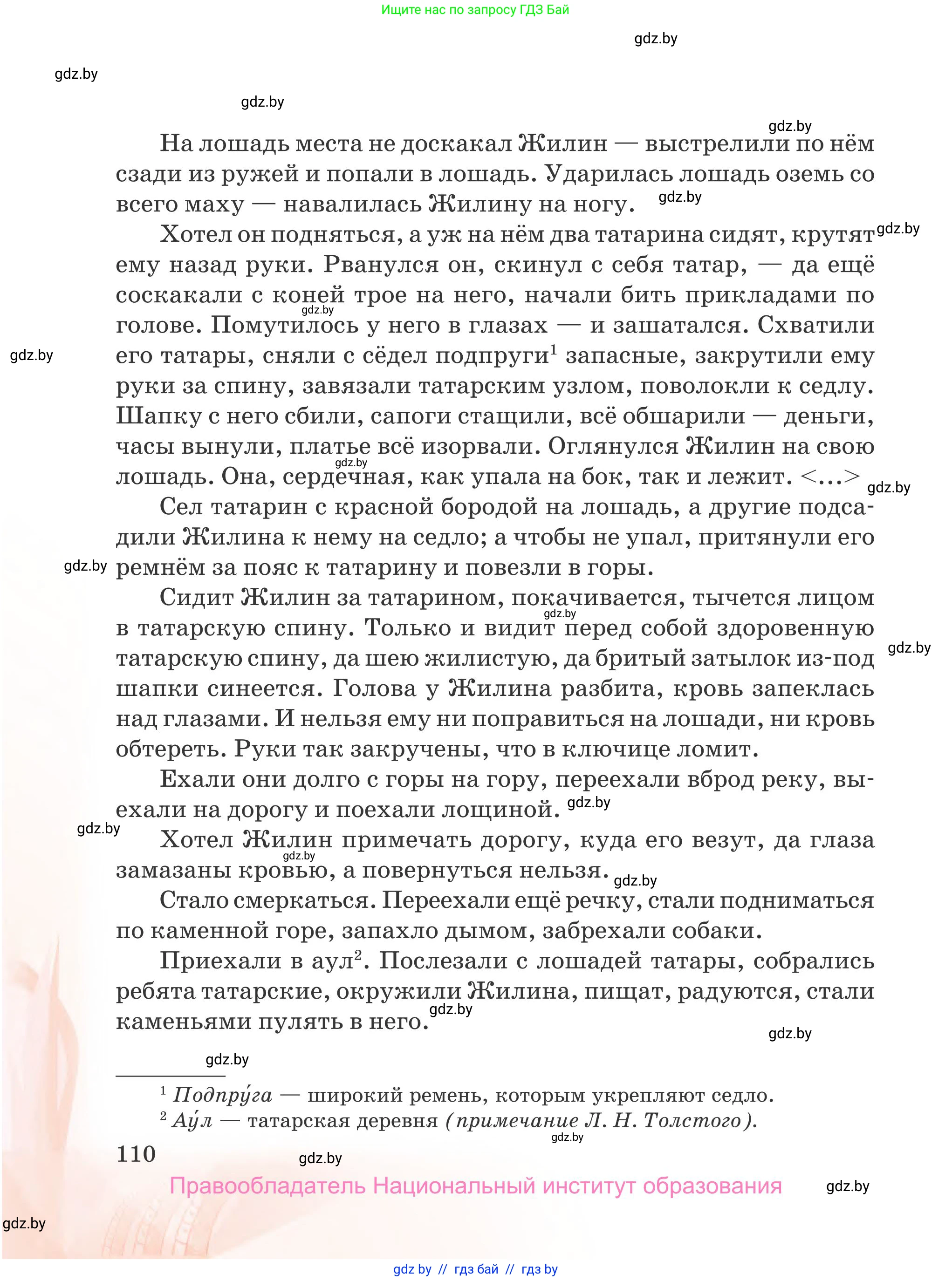 Русская литература, 5 класс Учебник, авторы: Мушинская Тамара Фёдоровна, Перевозная Евгения Васильевна, Каратай Светлана Николаевна, Гаранина Алла Ивановна, издательство Национальный институт образования, Минск, 2019, розового цвета, Часть 1, страница 110