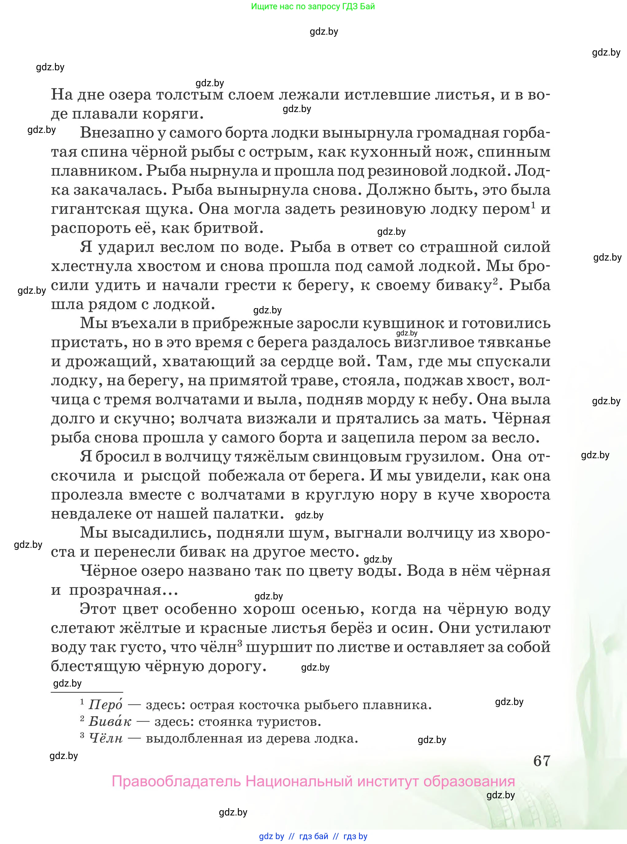 Русская литература, 5 класс Учебник, авторы: Мушинская Тамара Фёдоровна, Перевозная Евгения Васильевна, Каратай Светлана Николаевна, Гаранина Алла Ивановна, издательство Национальный институт образования, Минск, 2019, розового цвета, страница 67