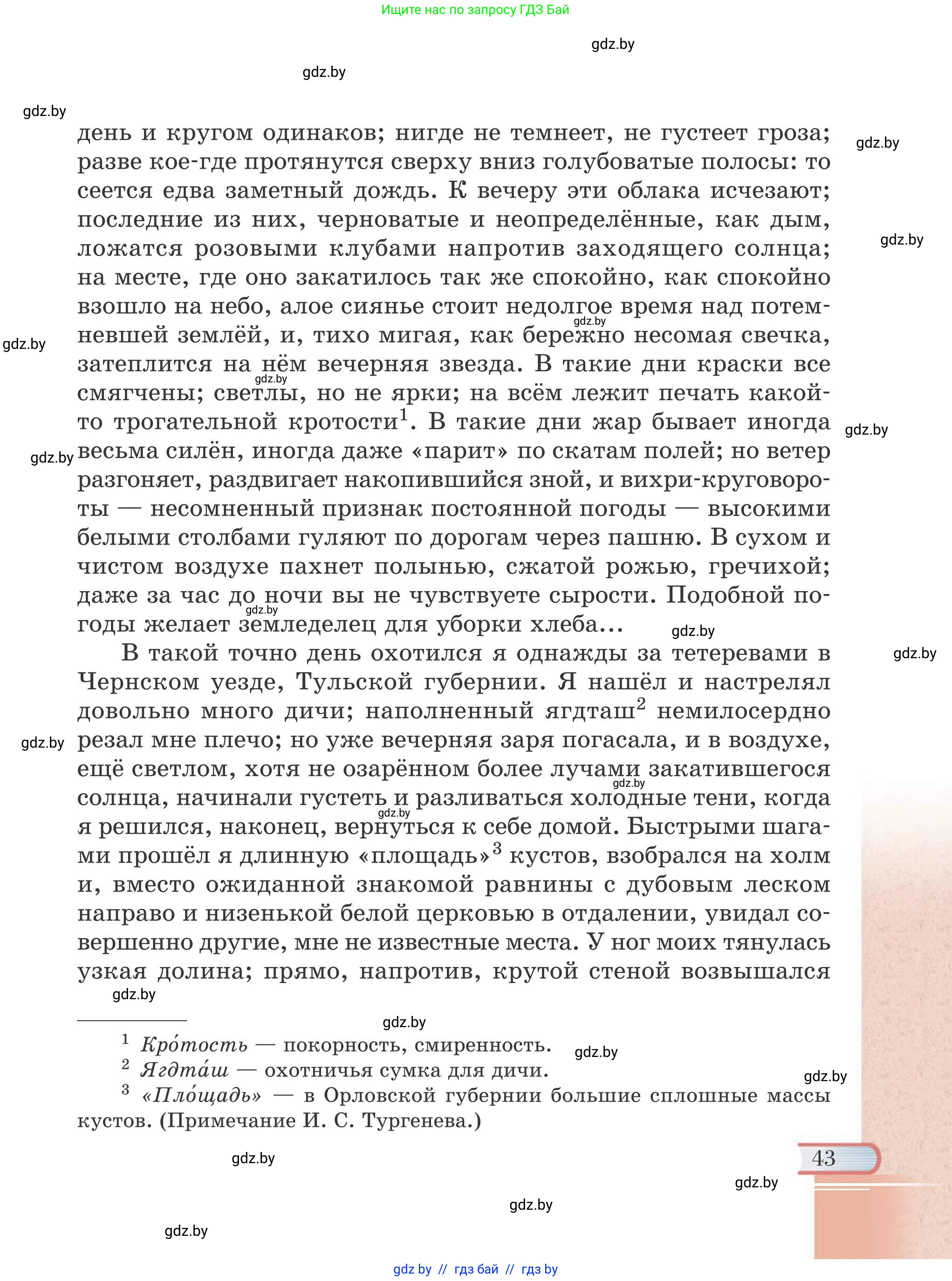 Русская литература, 6 класс Учебник, авторы: Захарова Светлана Николаевна, Юстинская Гюльнара Мансуровна, издательство Национальный институт образования, Минск, 2019, бежевого цвета, страница 43
