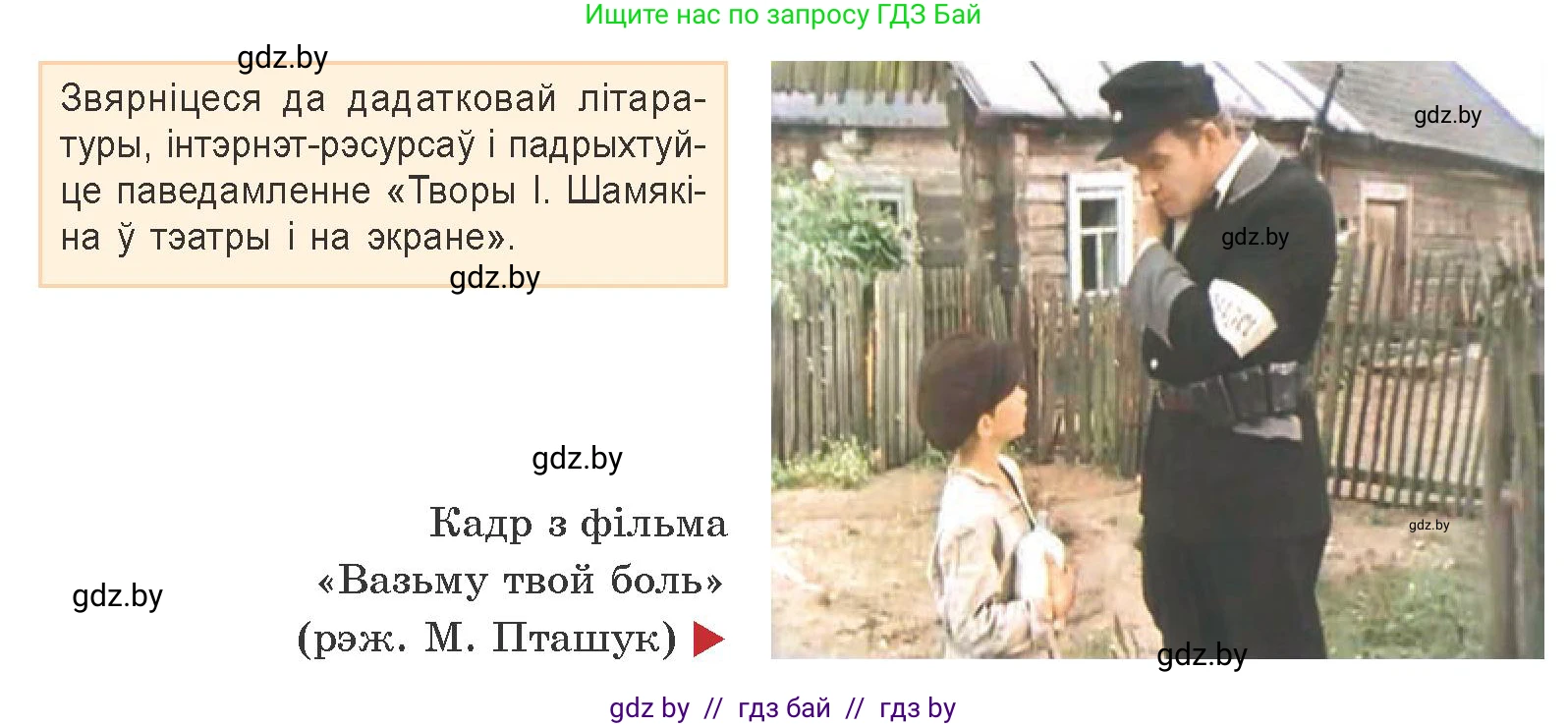 Белорусская литература (Беларуская літаратура), 9 класс Учебник, авторы: Праскаловіч Вольга Уладзіміраўна, Рагойша Вячаслаў Пятровіч, Шамякіна Таццяна Іванаўна, Кабржыцкая Т В, Жуковіч Мікалай Васільевіч, издательство Нацыянальны інстытут адукацыі, Минск, 2019, салатового цвета, страница 203, Условие