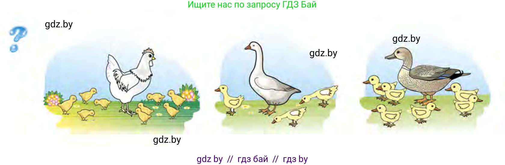 Математика, 1 класс Учебник, авторы: Муравьева Галина Леонидовна, Урбан Мария Анатольевна, издательство Академия образования, Минск, 2024, Часть 1, страница 21, Условие