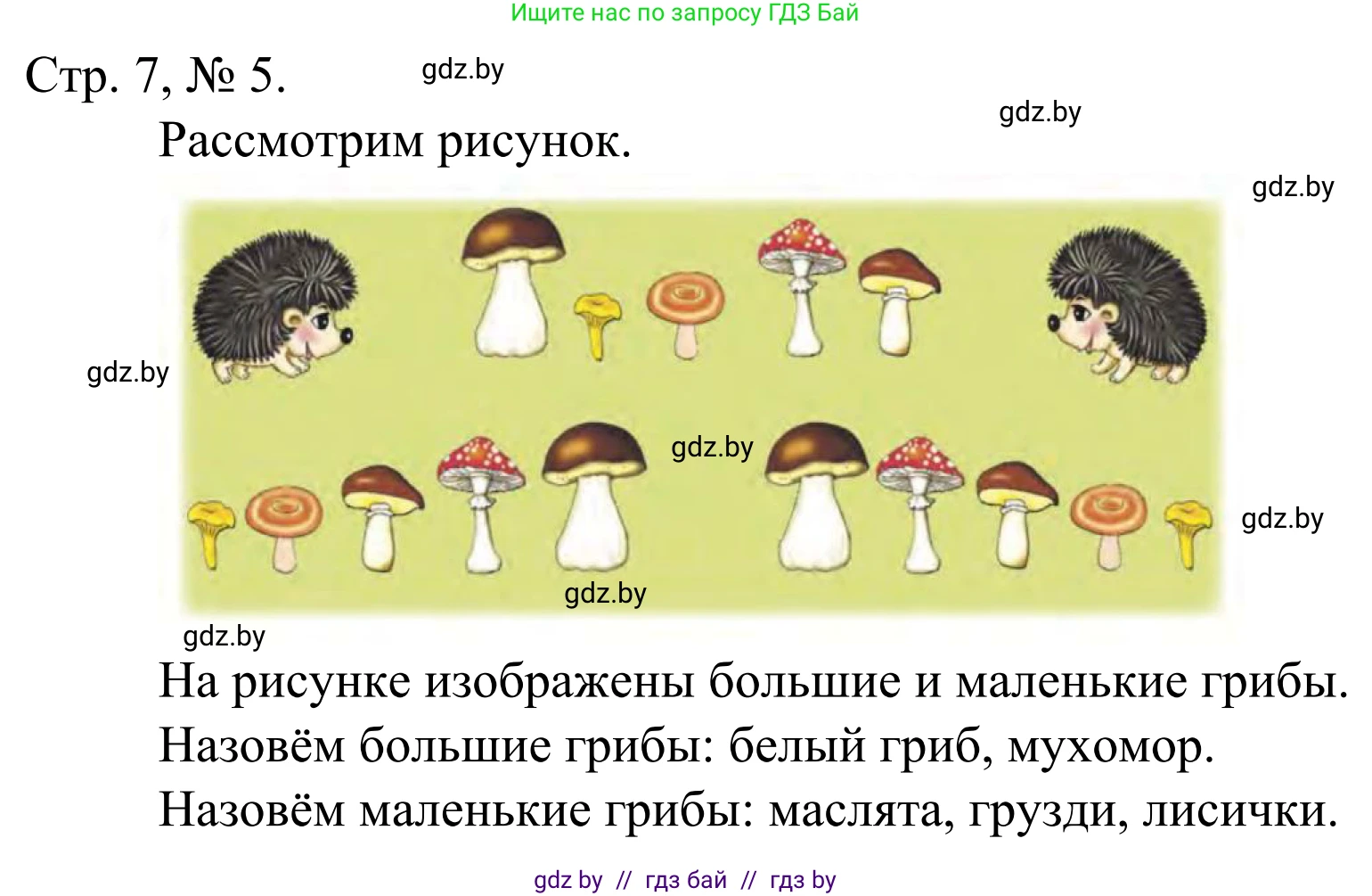 Математика, 1 класс Учебник, авторы: Муравьева Галина Леонидовна, Урбан Мария Анатольевна, издательство Академия образования, Минск, 2024, Часть 1, страница 7, номер 5, Решение