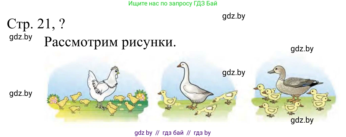 Математика, 1 класс Учебник, авторы: Муравьева Галина Леонидовна, Урбан Мария Анатольевна, издательство Академия образования, Минск, 2024, Часть 1, страница 21, Решение