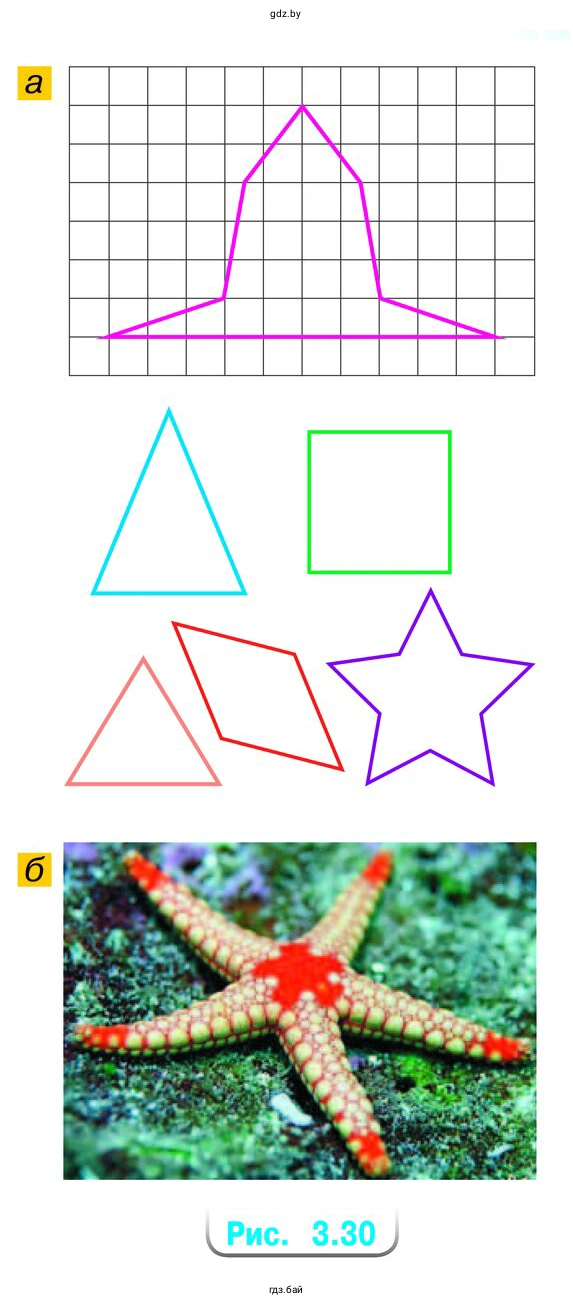 Упражнение 3.130 На рисунке 3.30, а изображены фигуры. Какие из них имеют одну ось симметрии, две оси симметрии, более двух осей симметрии, имеют центр симметрии? Сколько осей симметрии можно указать на фотографии морской звезды (рис. 3.30, б)? Есть ли у неё центр симметрии?