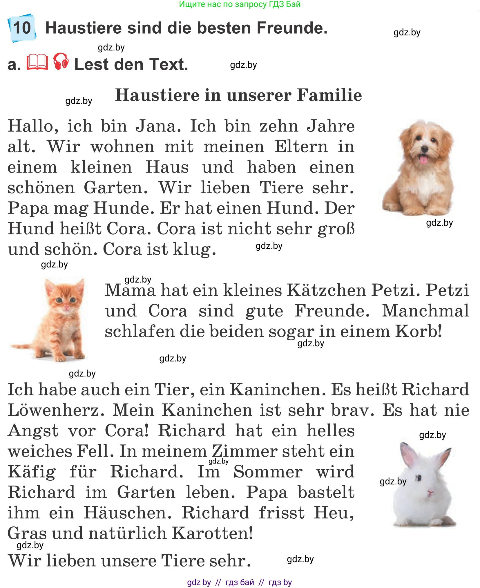 Немецкий язык (Deutsch), 4 класс Учебник (Schülerbuch), авторы: Будько Антонина Филипповна (Budjko Antonina), Урбанович Инна Ювинальевна (Urbanowitsch Ina), издательство Вышэйшая школа, Минск, 2019, жёлтого цвета, Часть 1, страница 117, номер 10a, Условие