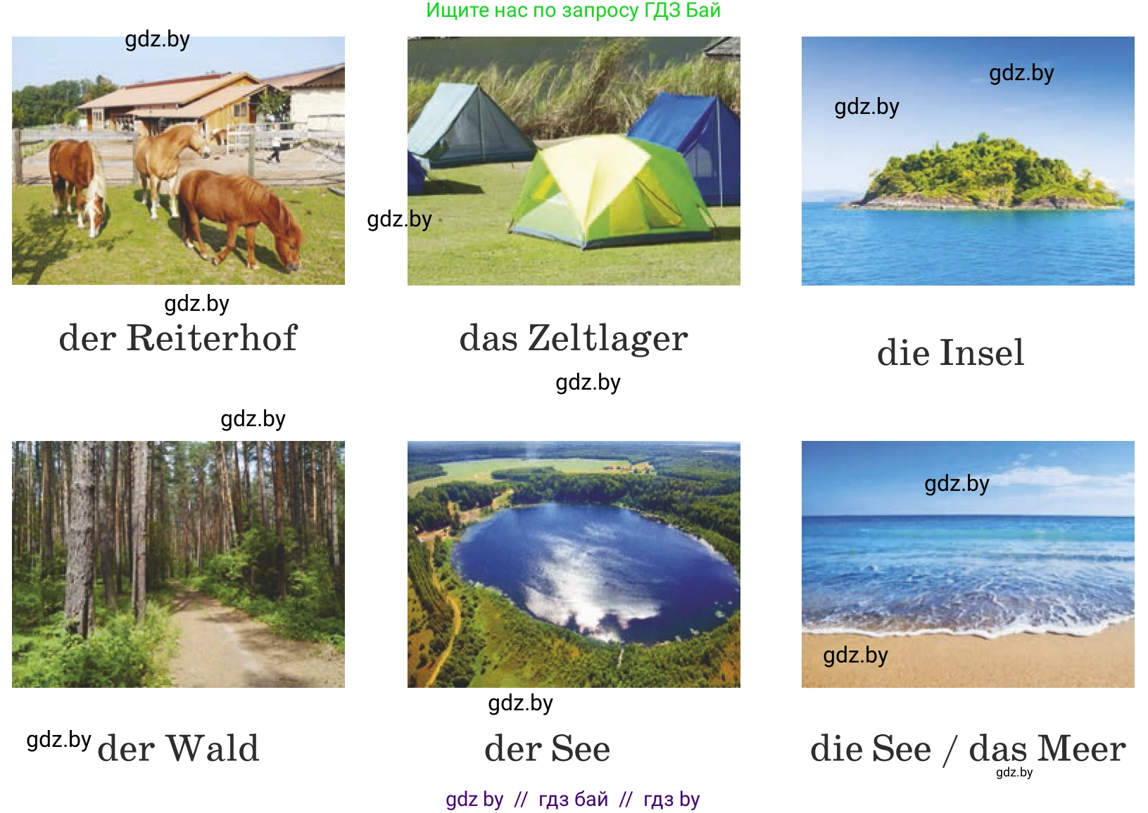 Немецкий язык (Deutsch), 5 класс Учебник (Schülerbuch), авторы: Будько Антонина Филипповна (Budjko Antonina), Урбанович Инна Ювинальевна (Urbanowitsch Ina), издательство Вышэйшая школа, Минск, 2020, жёлтого цвета, Часть 1, страница 17, номер 1a, Условие (продолжение 2)