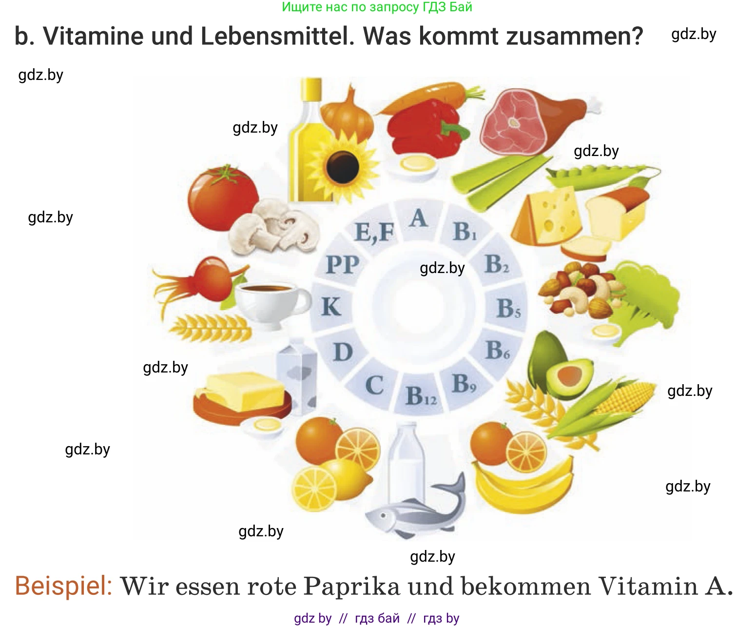 Немецкий язык (Deutsch), 5 класс Учебник (Schülerbuch), авторы: Будько Антонина Филипповна (Budjko Antonina), Урбанович Инна Ювинальевна (Urbanowitsch Ina), издательство Вышэйшая школа, Минск, 2020, жёлтого цвета, Часть 1, страница 51, номер 3b, Условие