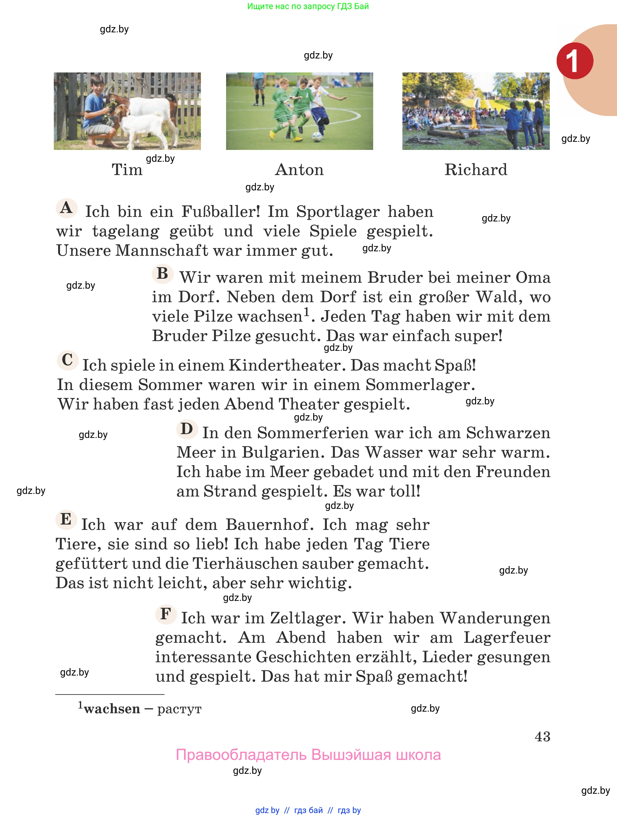 Немецкий язык (Deutsch), 5 класс Учебник (Schülerbuch), авторы: Будько Антонина Филипповна (Budjko Antonina), Урбанович Инна Ювинальевна (Urbanowitsch Ina), издательство Вышэйшая школа, Минск, 2020, жёлтого цвета, Часть 2, страница 43