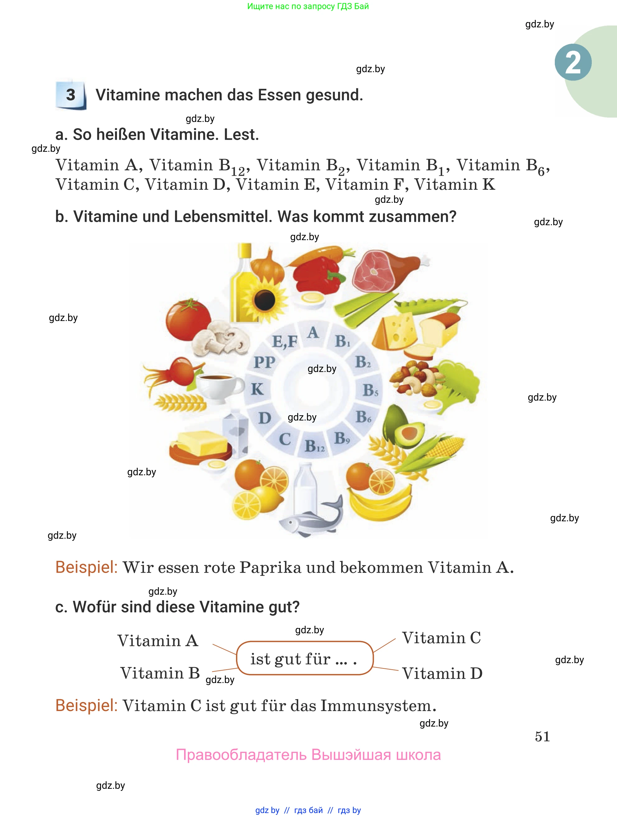 Немецкий язык (Deutsch), 5 класс Учебник (Schülerbuch), авторы: Будько Антонина Филипповна (Budjko Antonina), Урбанович Инна Ювинальевна (Urbanowitsch Ina), издательство Вышэйшая школа, Минск, 2020, жёлтого цвета, Часть 1, страница 51