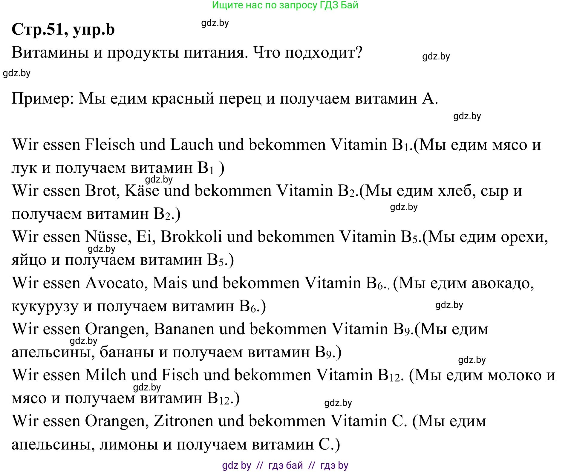 Немецкий язык (Deutsch), 5 класс Учебник (Schülerbuch), авторы: Будько Антонина Филипповна (Budjko Antonina), Урбанович Инна Ювинальевна (Urbanowitsch Ina), издательство Вышэйшая школа, Минск, 2020, жёлтого цвета, Часть 1, страница 51, номер 3b, Решение 2