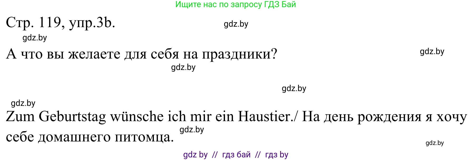 Немецкий язык (Deutsch), 5 класс Учебник (Schülerbuch), авторы: Будько Антонина Филипповна (Budjko Antonina), Урбанович Инна Ювинальевна (Urbanowitsch Ina), издательство Вышэйшая школа, Минск, 2020, жёлтого цвета, Часть 1, страница 119, номер 3b, Решение 2