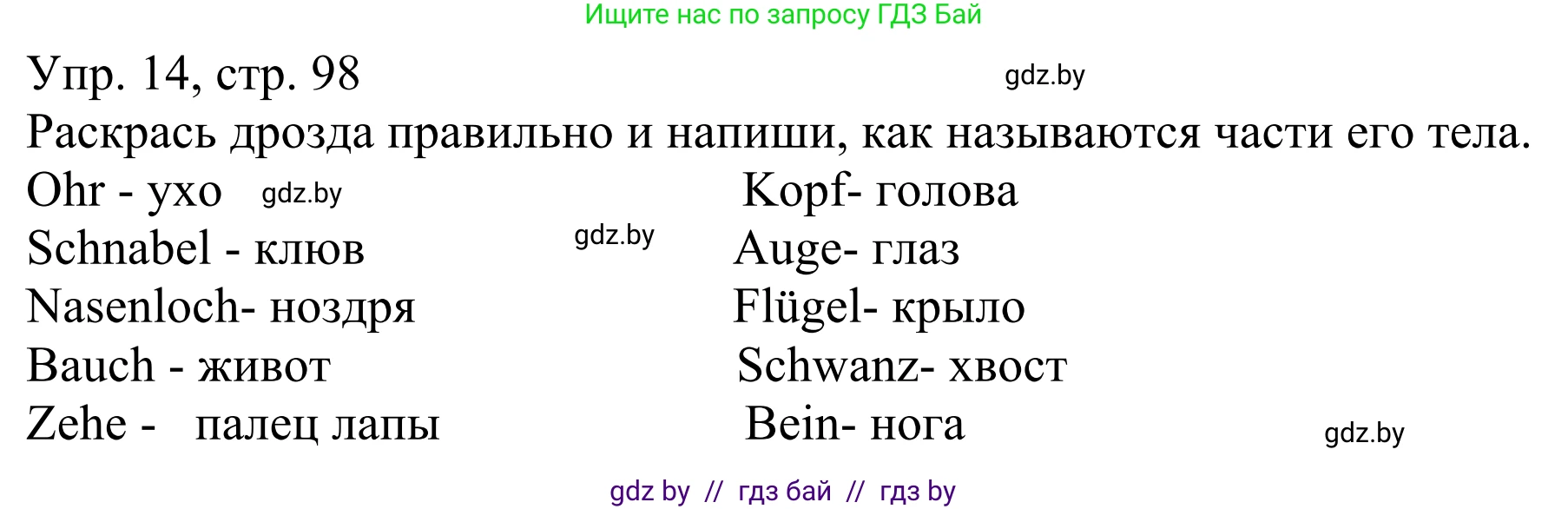 Немецкий язык (Deutsch), 6 класс рабочая тетрадь (arbeitsheft), авторы: Будько Антонина Филипповна (Budjko Antonina), Урбанович Инна Ювинальевна (Urbanowitsch Ina), издательство Аверсэв, Минск, 2020, красного цвета, страница 98, номер 14, Решение