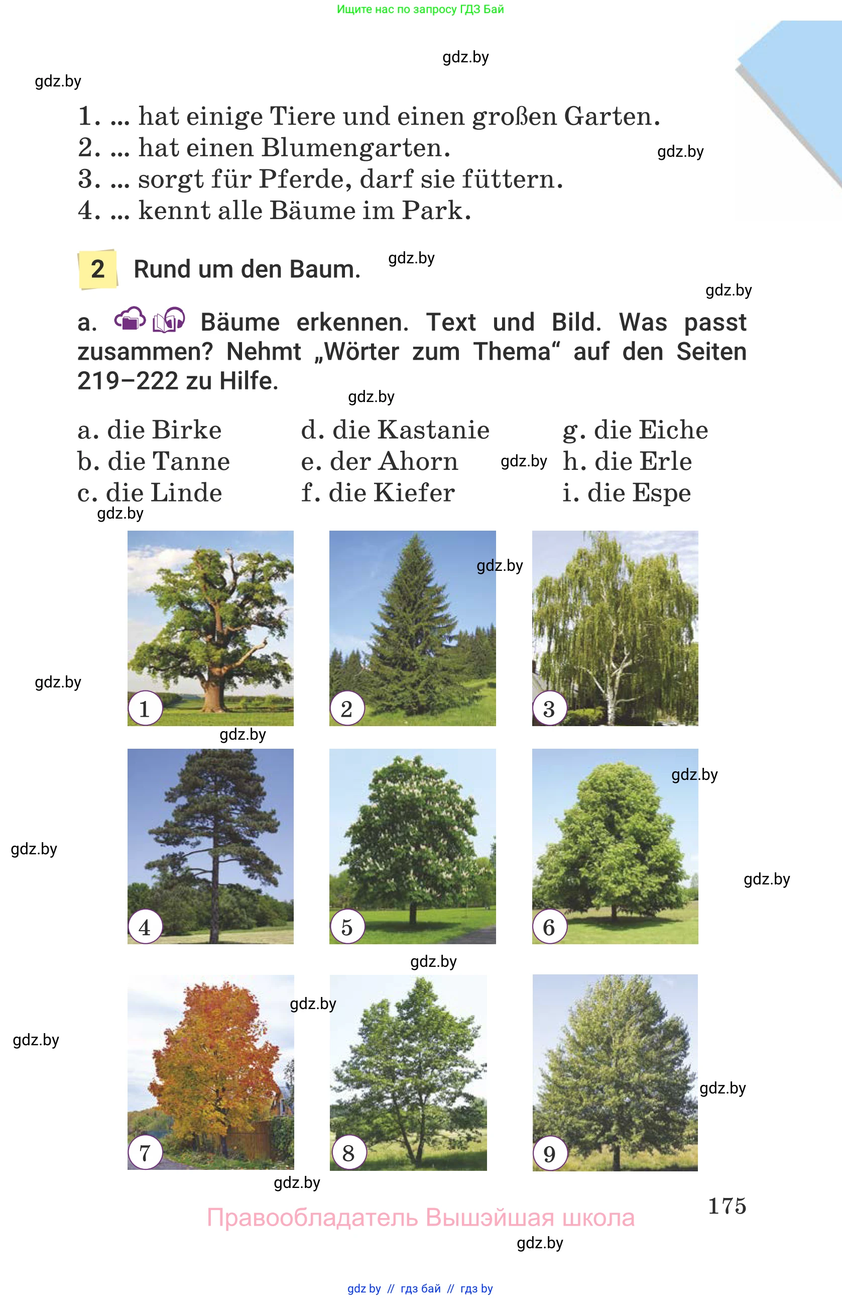 Немецкий язык (Deutsch), 6 класс Учебник (Schülerbuch), авторы: Будько Антонина Филипповна (Budjko Antonina), Урбанович Инна Ювинальевна (Urbanowitsch Ina), издательство Вышэйшая школа, Минск, 2020, бежевого цвета, страница 175