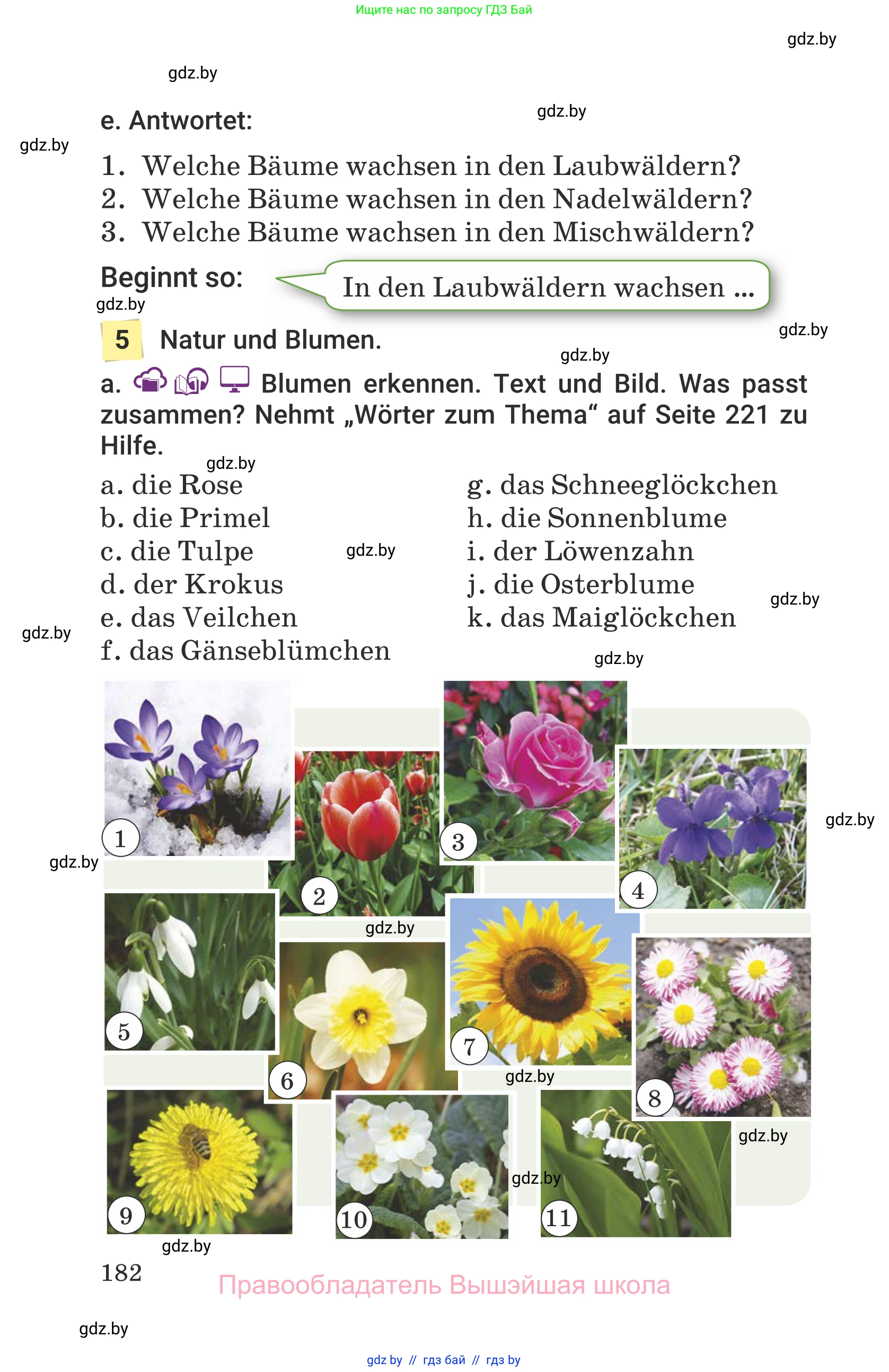 Немецкий язык (Deutsch), 6 класс Учебник (Schülerbuch), авторы: Будько Антонина Филипповна (Budjko Antonina), Урбанович Инна Ювинальевна (Urbanowitsch Ina), издательство Вышэйшая школа, Минск, 2020, бежевого цвета, страница 182