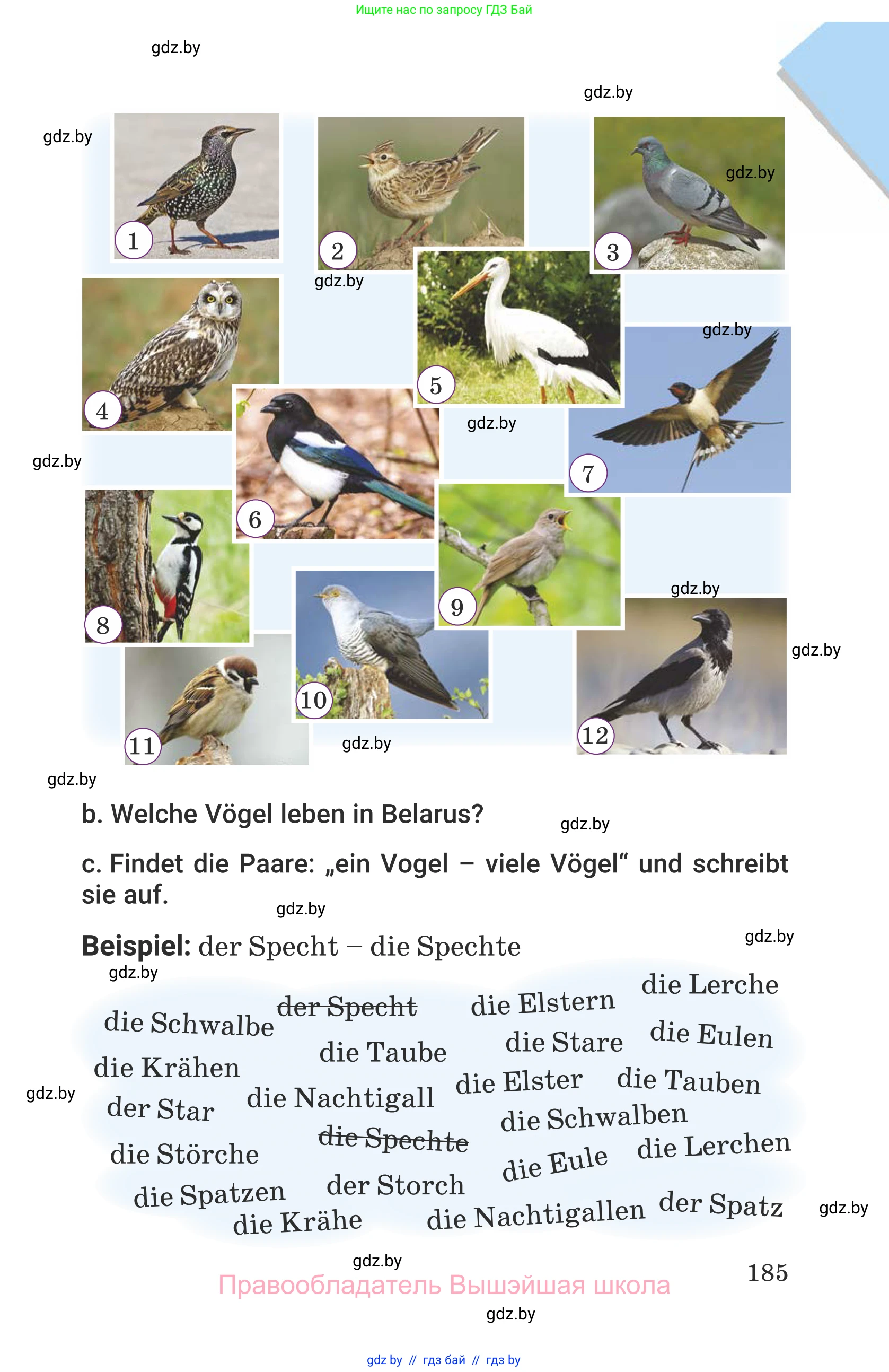 Немецкий язык (Deutsch), 6 класс Учебник (Schülerbuch), авторы: Будько Антонина Филипповна (Budjko Antonina), Урбанович Инна Ювинальевна (Urbanowitsch Ina), издательство Вышэйшая школа, Минск, 2020, бежевого цвета, страница 185