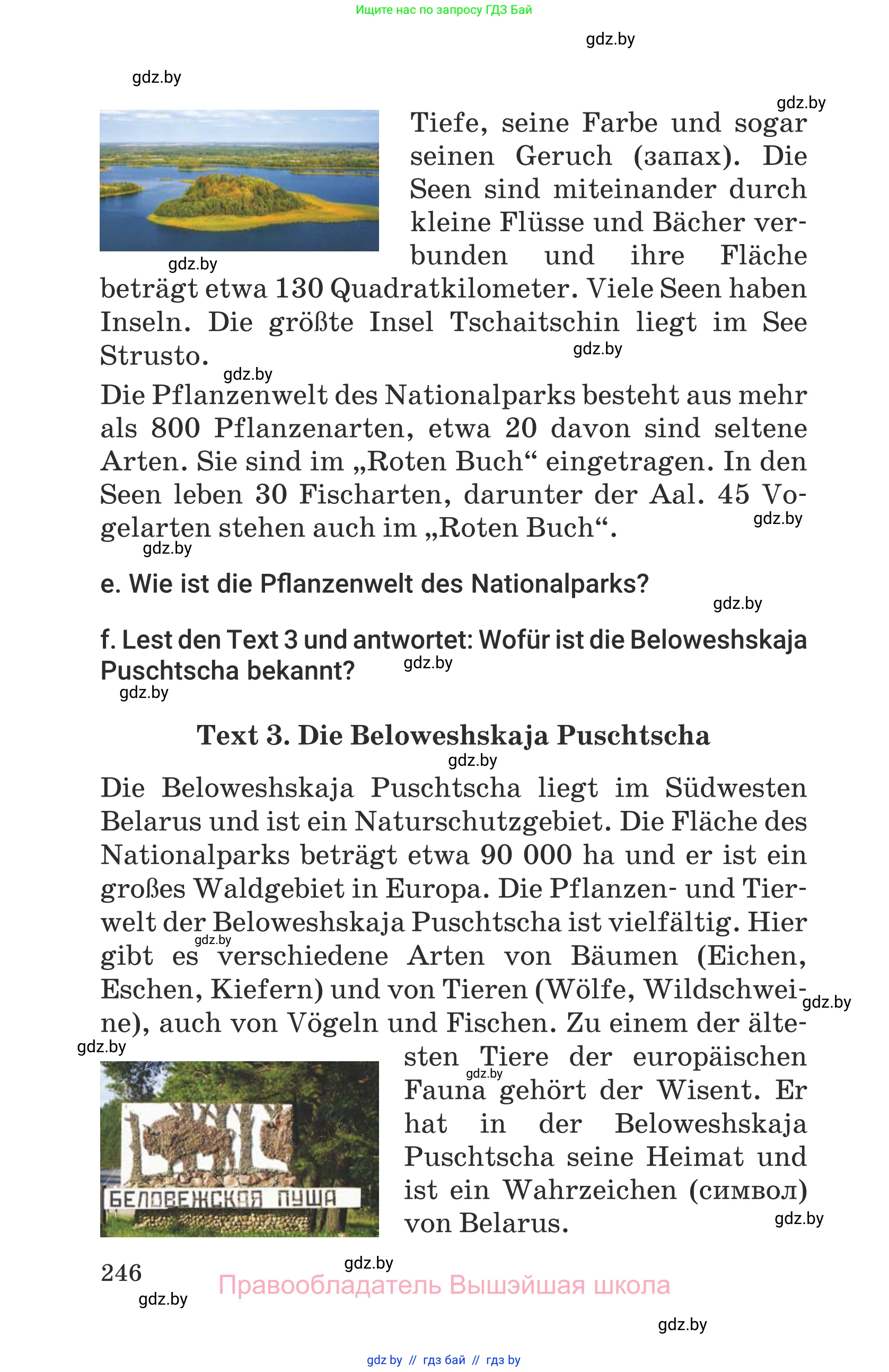 Немецкий язык (Deutsch), 6 класс Учебник (Schülerbuch), авторы: Будько Антонина Филипповна (Budjko Antonina), Урбанович Инна Ювинальевна (Urbanowitsch Ina), издательство Вышэйшая школа, Минск, 2020, бежевого цвета, страница 246