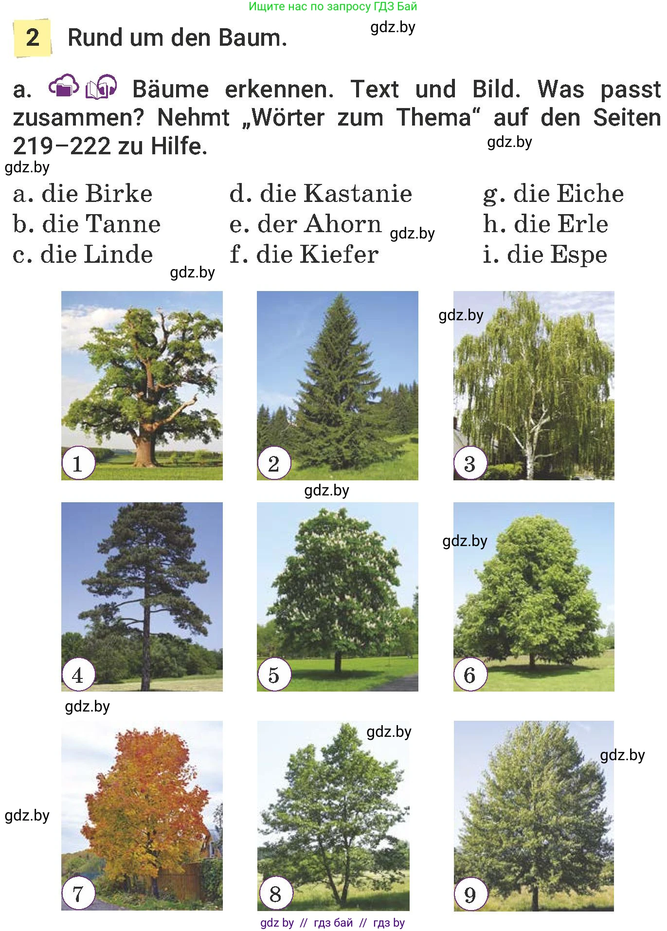 Немецкий язык (Deutsch), 6 класс Учебник (Schülerbuch), авторы: Будько Антонина Филипповна (Budjko Antonina), Урбанович Инна Ювинальевна (Urbanowitsch Ina), издательство Вышэйшая школа, Минск, 2020, бежевого цвета, страница 175, номер a, Условие