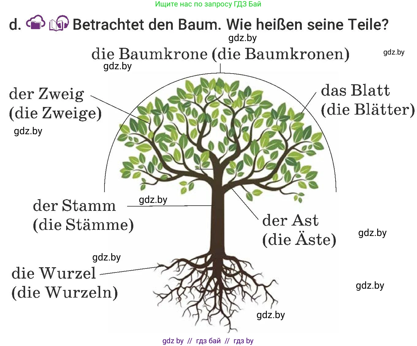 Немецкий язык (Deutsch), 6 класс Учебник (Schülerbuch), авторы: Будько Антонина Филипповна (Budjko Antonina), Урбанович Инна Ювинальевна (Urbanowitsch Ina), издательство Вышэйшая школа, Минск, 2020, бежевого цвета, страница 176, номер d, Условие