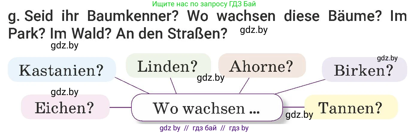 Немецкий язык (Deutsch), 6 класс Учебник (Schülerbuch), авторы: Будько Антонина Филипповна (Budjko Antonina), Урбанович Инна Ювинальевна (Urbanowitsch Ina), издательство Вышэйшая школа, Минск, 2020, бежевого цвета, страница 177, номер g, Условие