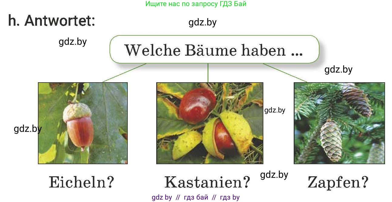 Немецкий язык (Deutsch), 6 класс Учебник (Schülerbuch), авторы: Будько Антонина Филипповна (Budjko Antonina), Урбанович Инна Ювинальевна (Urbanowitsch Ina), издательство Вышэйшая школа, Минск, 2020, бежевого цвета, страница 177, номер h, Условие