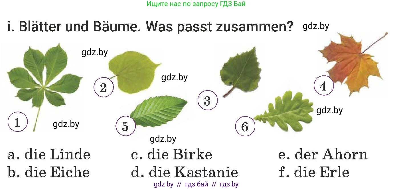 Немецкий язык (Deutsch), 6 класс Учебник (Schülerbuch), авторы: Будько Антонина Филипповна (Budjko Antonina), Урбанович Инна Ювинальевна (Urbanowitsch Ina), издательство Вышэйшая школа, Минск, 2020, бежевого цвета, страница 177, номер i, Условие