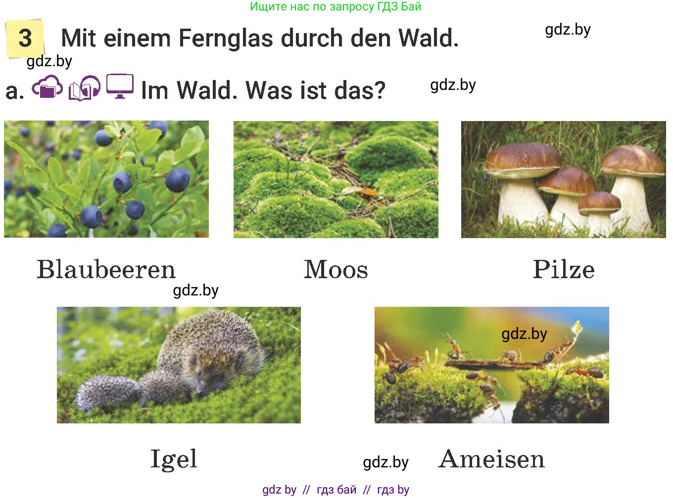 Немецкий язык (Deutsch), 6 класс Учебник (Schülerbuch), авторы: Будько Антонина Филипповна (Budjko Antonina), Урбанович Инна Ювинальевна (Urbanowitsch Ina), издательство Вышэйшая школа, Минск, 2020, бежевого цвета, страница 179, номер a, Условие