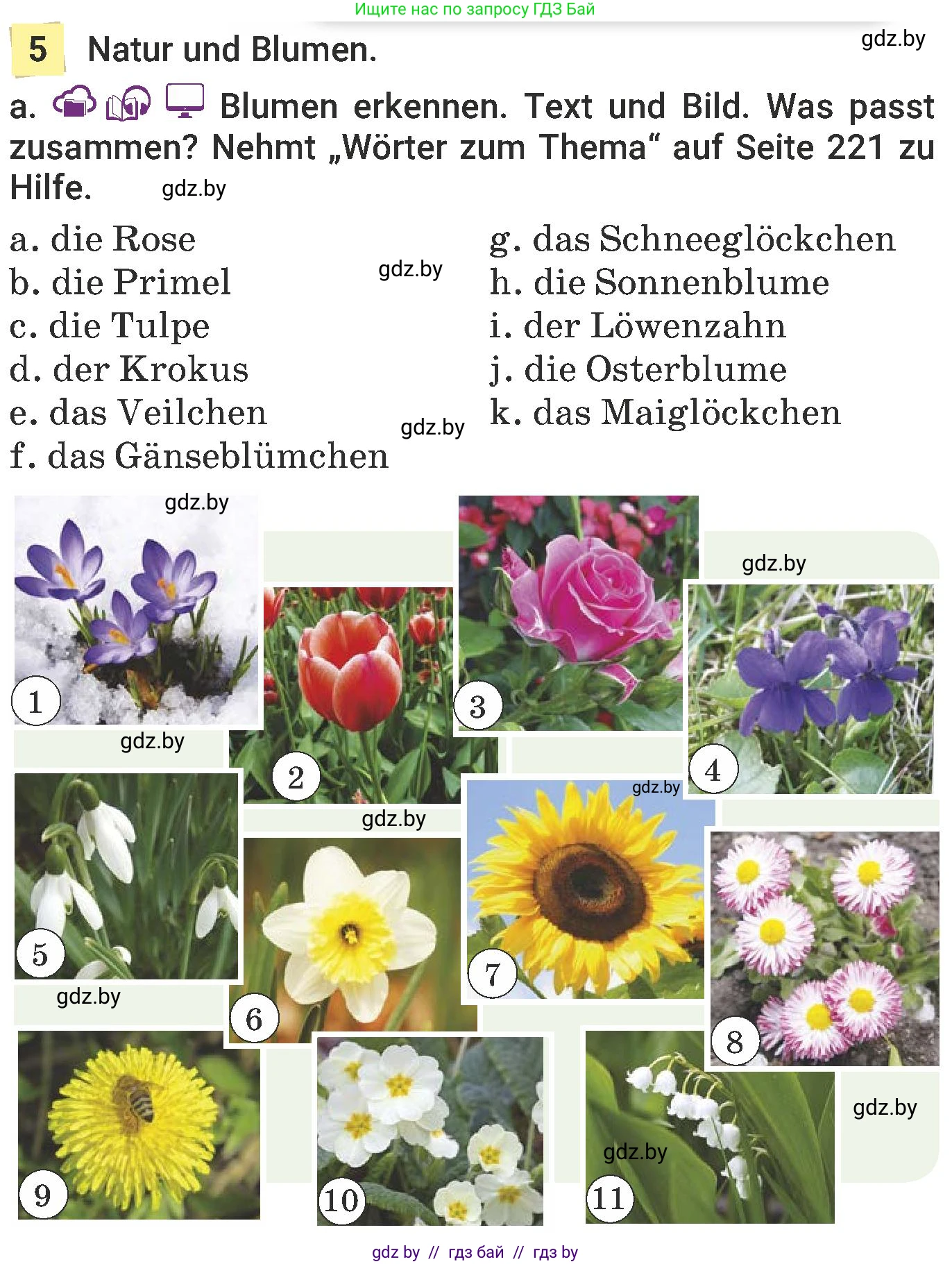 Немецкий язык (Deutsch), 6 класс Учебник (Schülerbuch), авторы: Будько Антонина Филипповна (Budjko Antonina), Урбанович Инна Ювинальевна (Urbanowitsch Ina), издательство Вышэйшая школа, Минск, 2020, бежевого цвета, страница 182, номер a, Условие