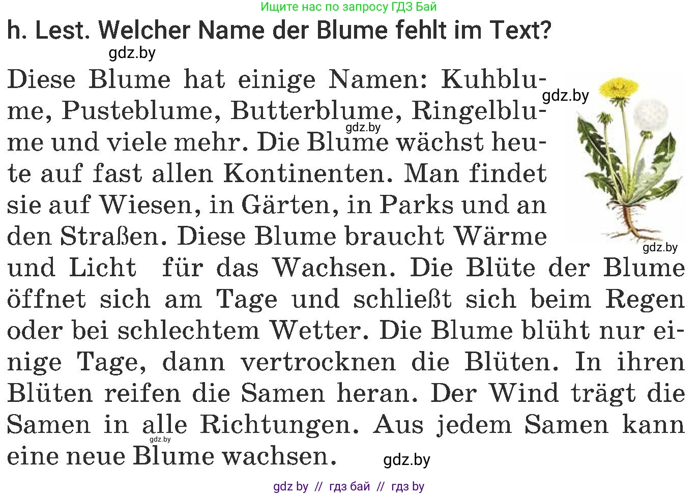 Немецкий язык (Deutsch), 6 класс Учебник (Schülerbuch), авторы: Будько Антонина Филипповна (Budjko Antonina), Урбанович Инна Ювинальевна (Urbanowitsch Ina), издательство Вышэйшая школа, Минск, 2020, бежевого цвета, страница 184, номер h, Условие