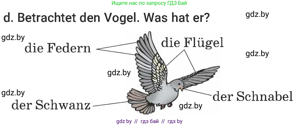 Немецкий язык (Deutsch), 6 класс Учебник (Schülerbuch), авторы: Будько Антонина Филипповна (Budjko Antonina), Урбанович Инна Ювинальевна (Urbanowitsch Ina), издательство Вышэйшая школа, Минск, 2020, бежевого цвета, страница 186, номер d, Условие