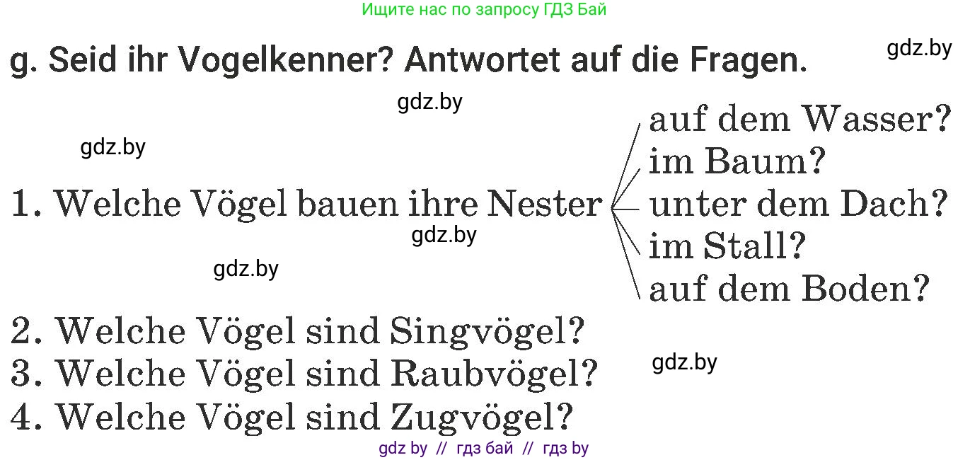 Немецкий язык (Deutsch), 6 класс Учебник (Schülerbuch), авторы: Будько Антонина Филипповна (Budjko Antonina), Урбанович Инна Ювинальевна (Urbanowitsch Ina), издательство Вышэйшая школа, Минск, 2020, бежевого цвета, страница 186, номер g, Условие