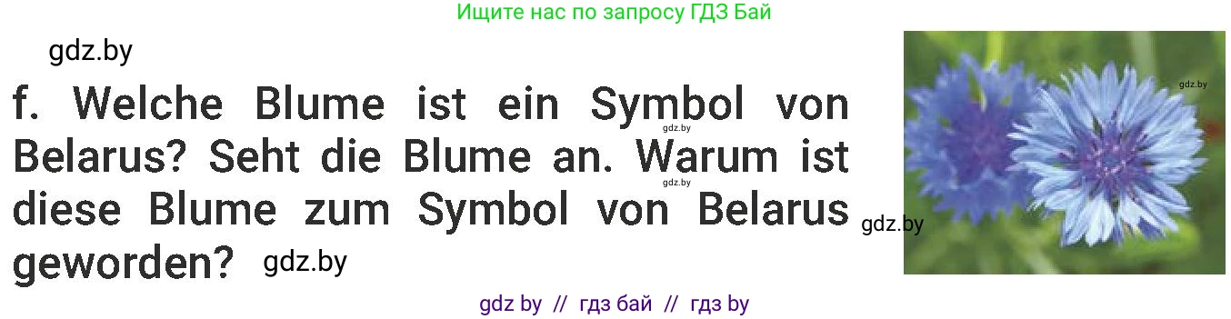 Немецкий язык (Deutsch), 6 класс Учебник (Schülerbuch), авторы: Будько Антонина Филипповна (Budjko Antonina), Урбанович Инна Ювинальевна (Urbanowitsch Ina), издательство Вышэйшая школа, Минск, 2020, бежевого цвета, страница 236, номер f, Условие