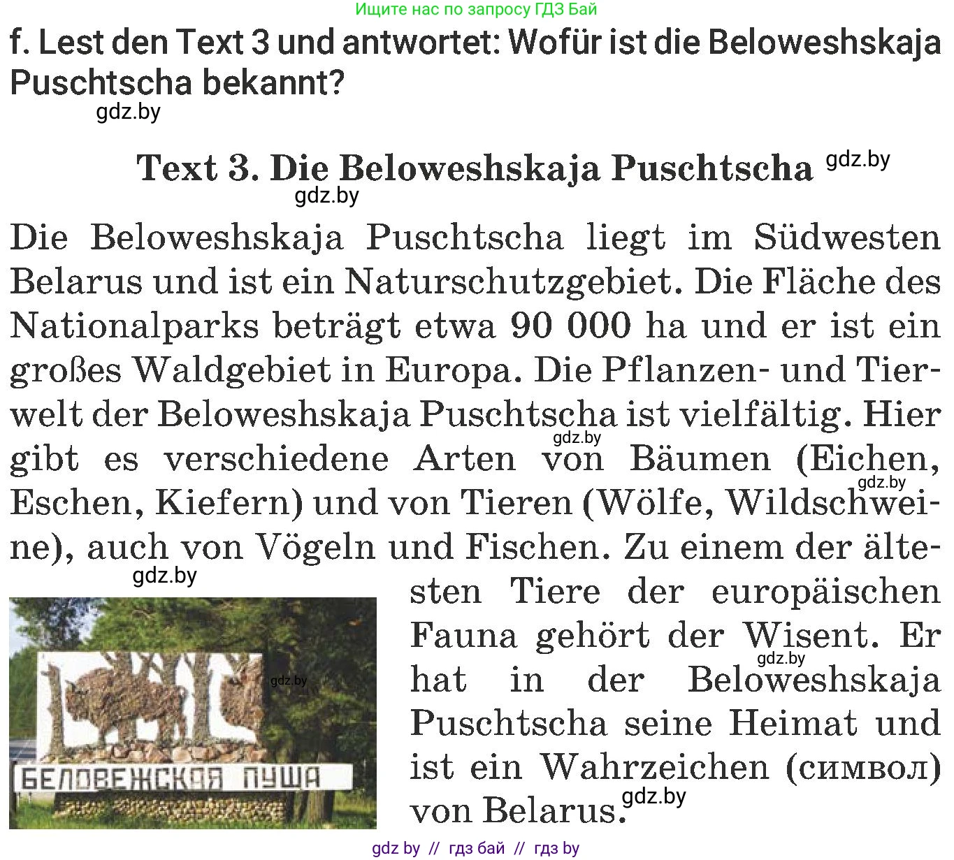 Немецкий язык (Deutsch), 6 класс Учебник (Schülerbuch), авторы: Будько Антонина Филипповна (Budjko Antonina), Урбанович Инна Ювинальевна (Urbanowitsch Ina), издательство Вышэйшая школа, Минск, 2020, бежевого цвета, страница 246, номер f, Условие