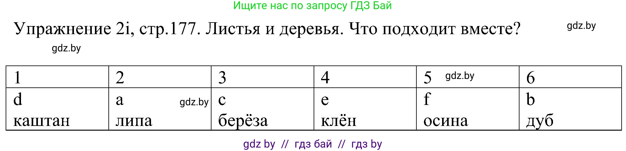 Немецкий язык (Deutsch), 6 класс Учебник (Schülerbuch), авторы: Будько Антонина Филипповна (Budjko Antonina), Урбанович Инна Ювинальевна (Urbanowitsch Ina), издательство Вышэйшая школа, Минск, 2020, бежевого цвета, страница 177, номер i, Решение