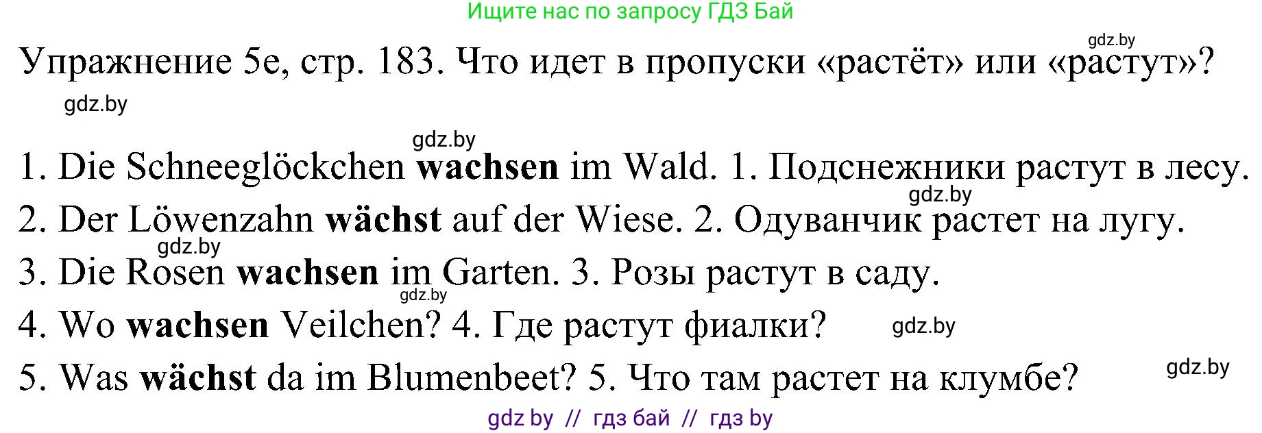 Немецкий язык (Deutsch), 6 класс Учебник (Schülerbuch), авторы: Будько Антонина Филипповна (Budjko Antonina), Урбанович Инна Ювинальевна (Urbanowitsch Ina), издательство Вышэйшая школа, Минск, 2020, бежевого цвета, страница 183, номер e, Решение