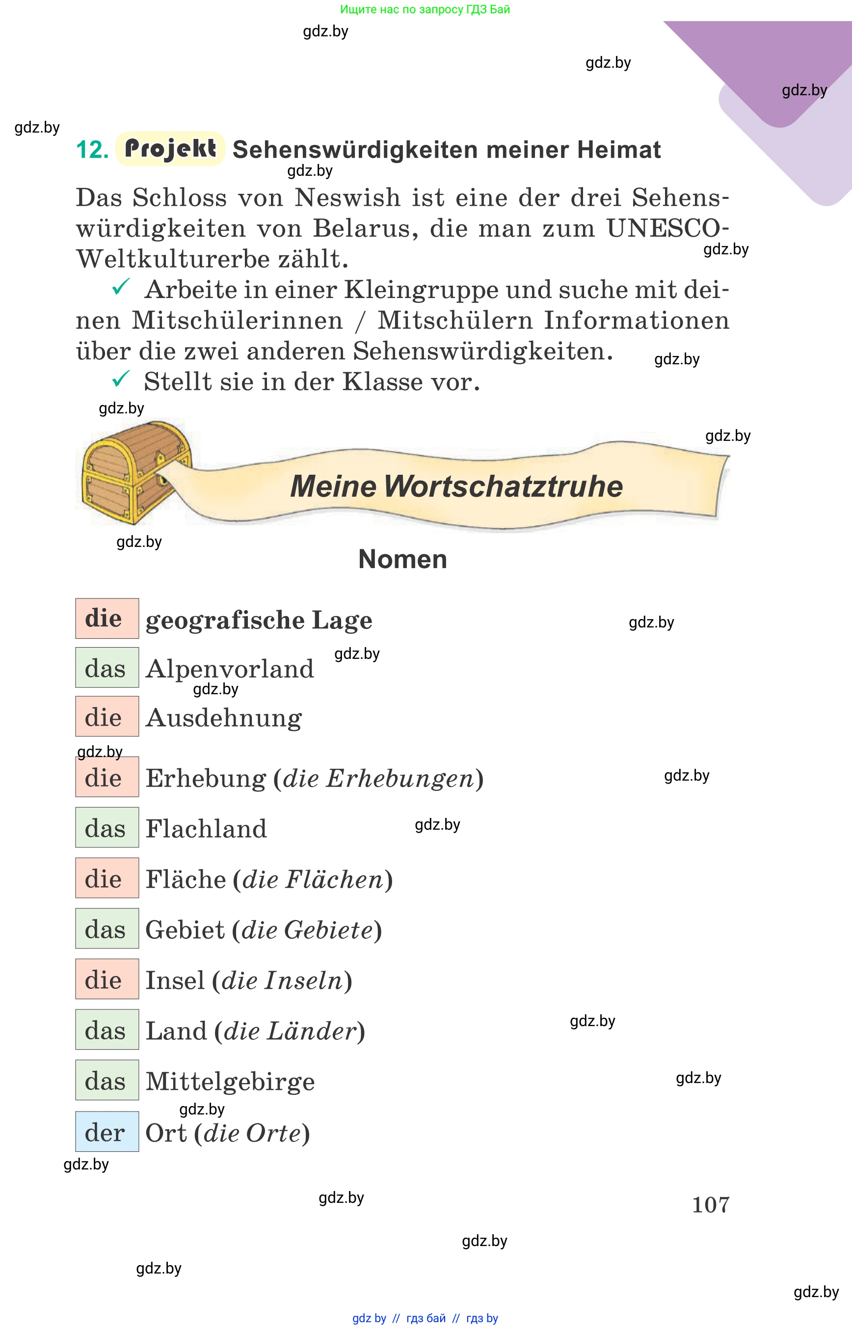 Немецкий язык (Deutsch), 6 класс Учебник (Schülerbuch), авторы: Зуевская Елена Викторовна, Салынская Светлана Ивановна, Негурэ Ольга Вячеславовна, издательство Вышэйшая школа, Минск, 2022, жёлтого цвета, Teil 2, страница 107