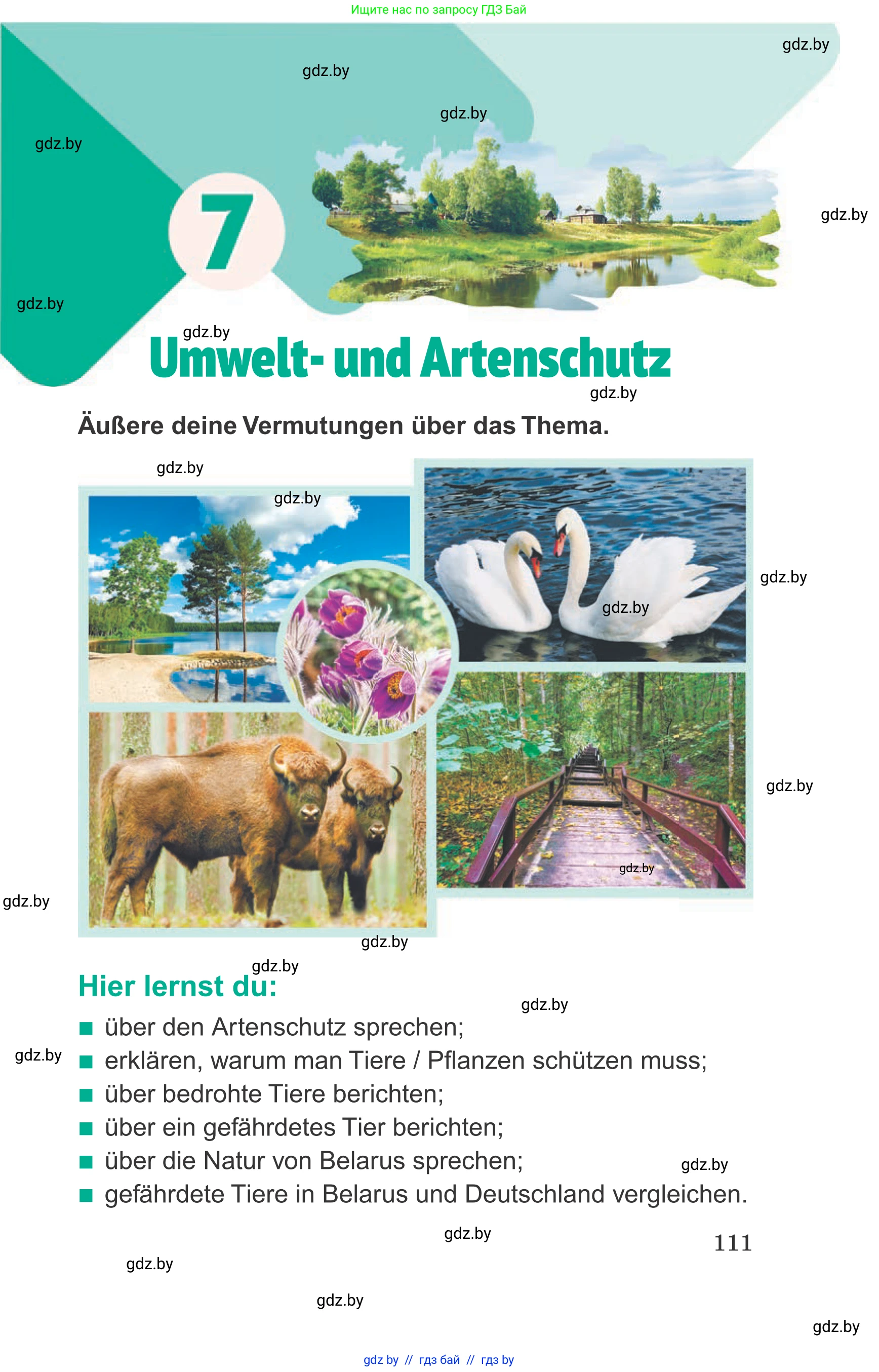 Немецкий язык (Deutsch), 6 класс Учебник (Schülerbuch), авторы: Зуевская Елена Викторовна, Салынская Светлана Ивановна, Негурэ Ольга Вячеславовна, издательство Вышэйшая школа, Минск, 2022, жёлтого цвета, Teil 1, страница 111